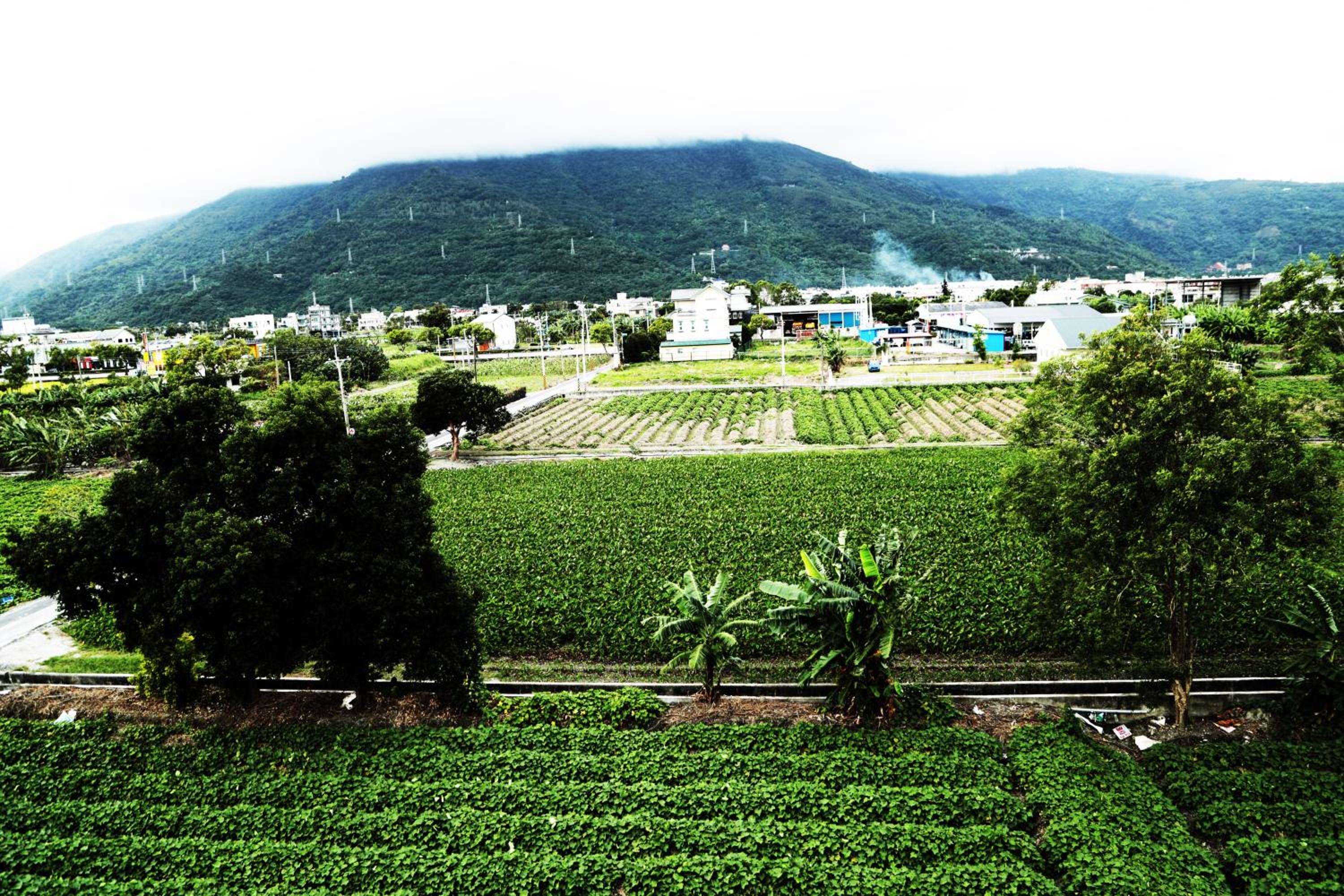 Bo Jue Farm Stay