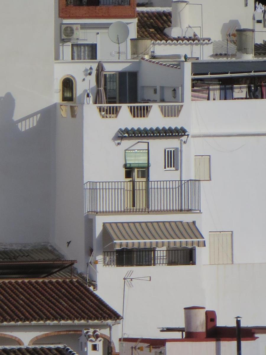 Casa Merengue photo 3