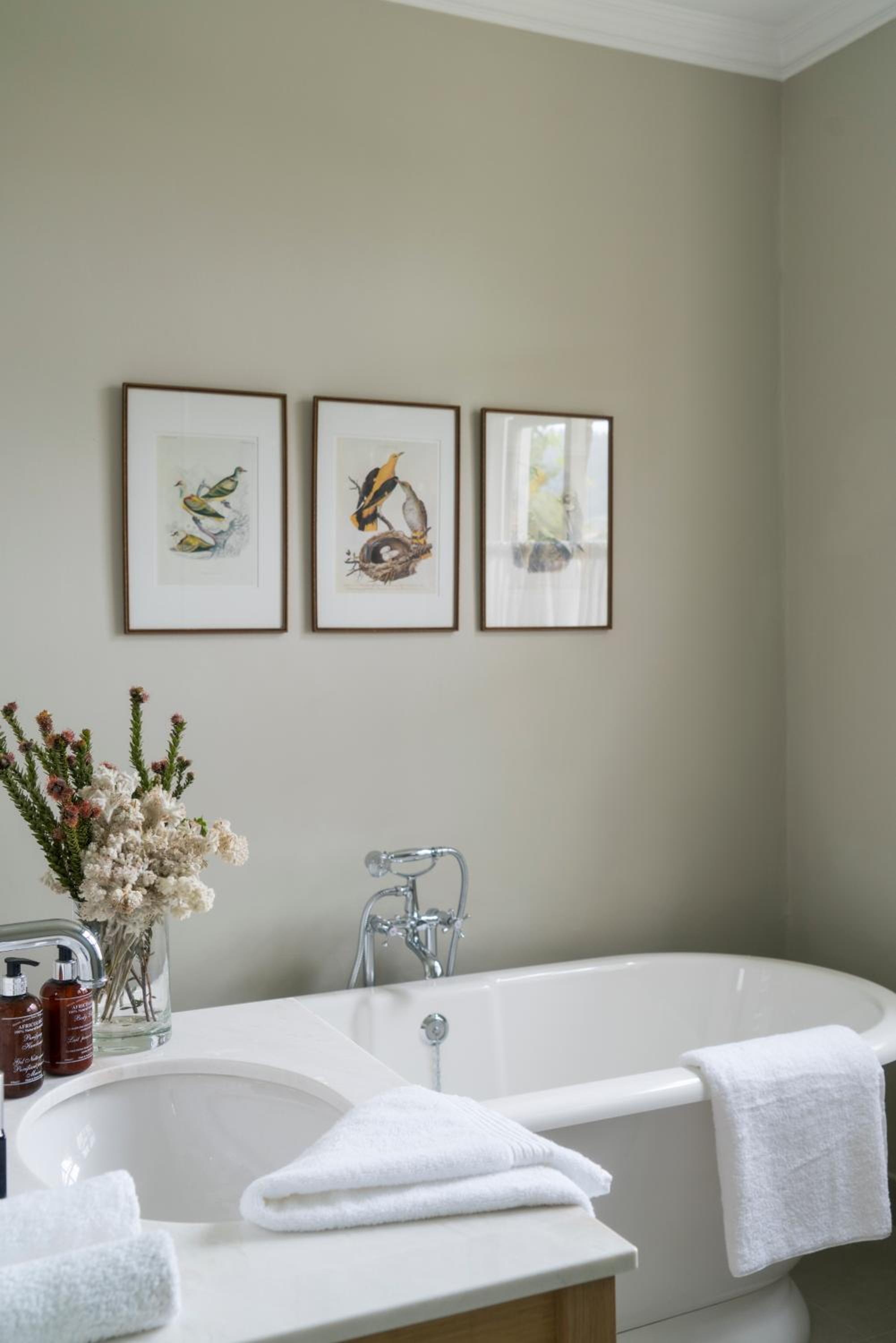 Cape Vue Country House