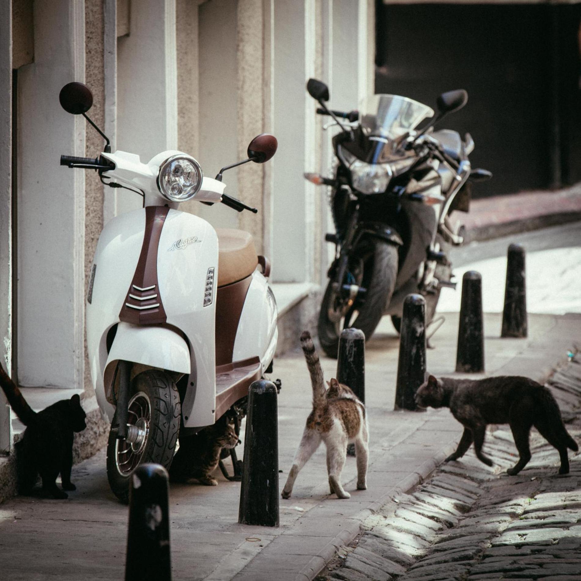 Georges Otel Galata - Image 95