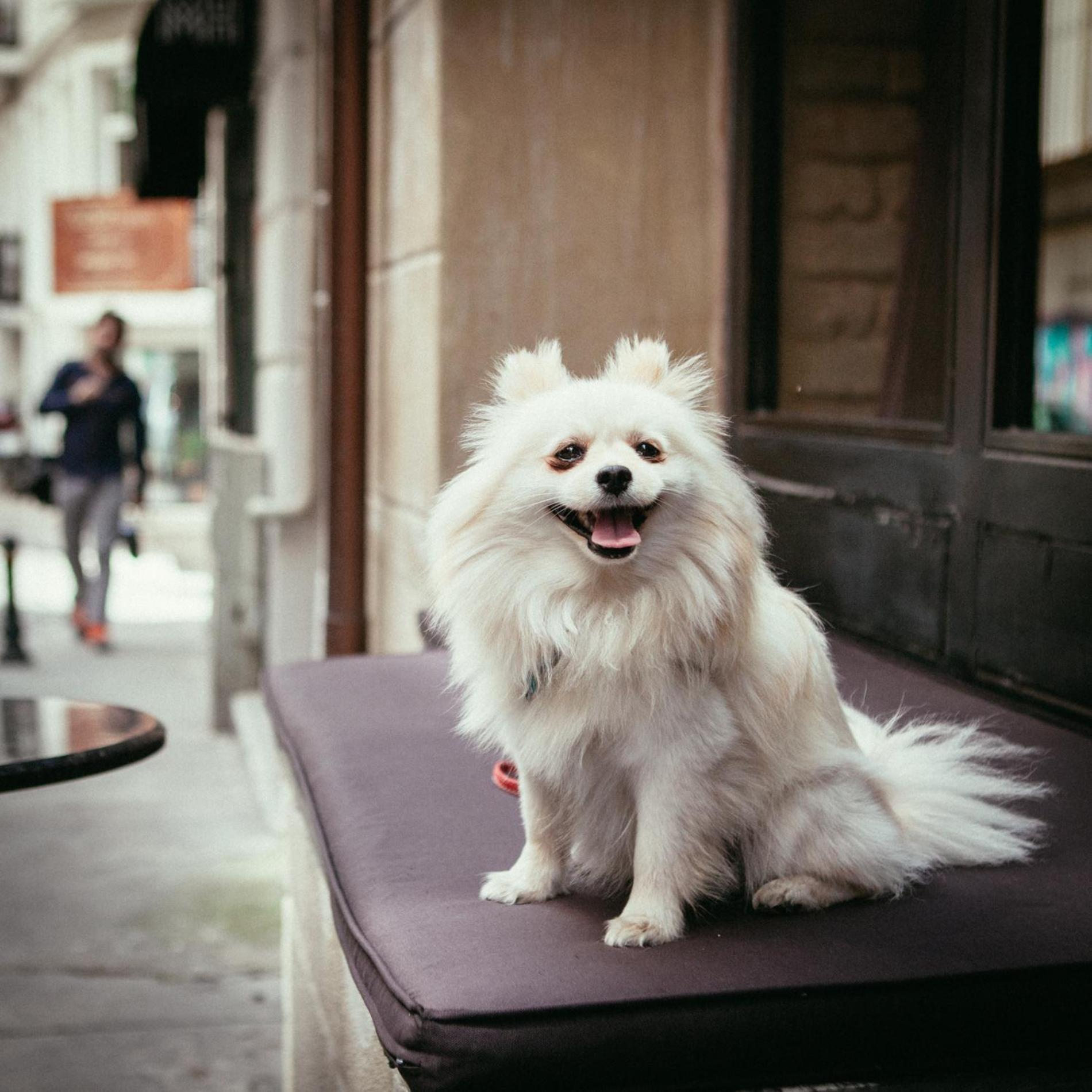 Georges Otel Galata - Image 94