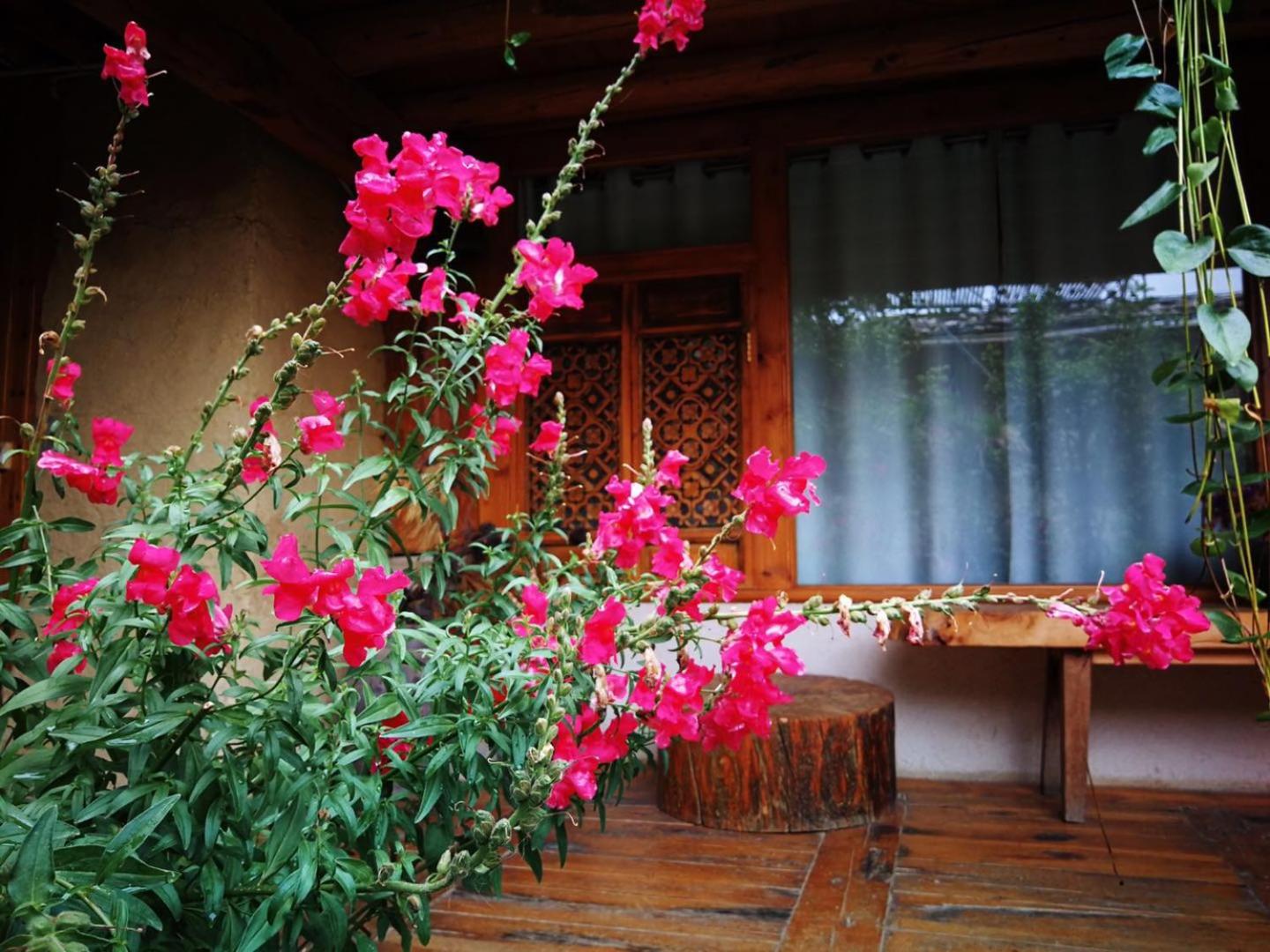 Courtyard Shangri-la 藏舍小院