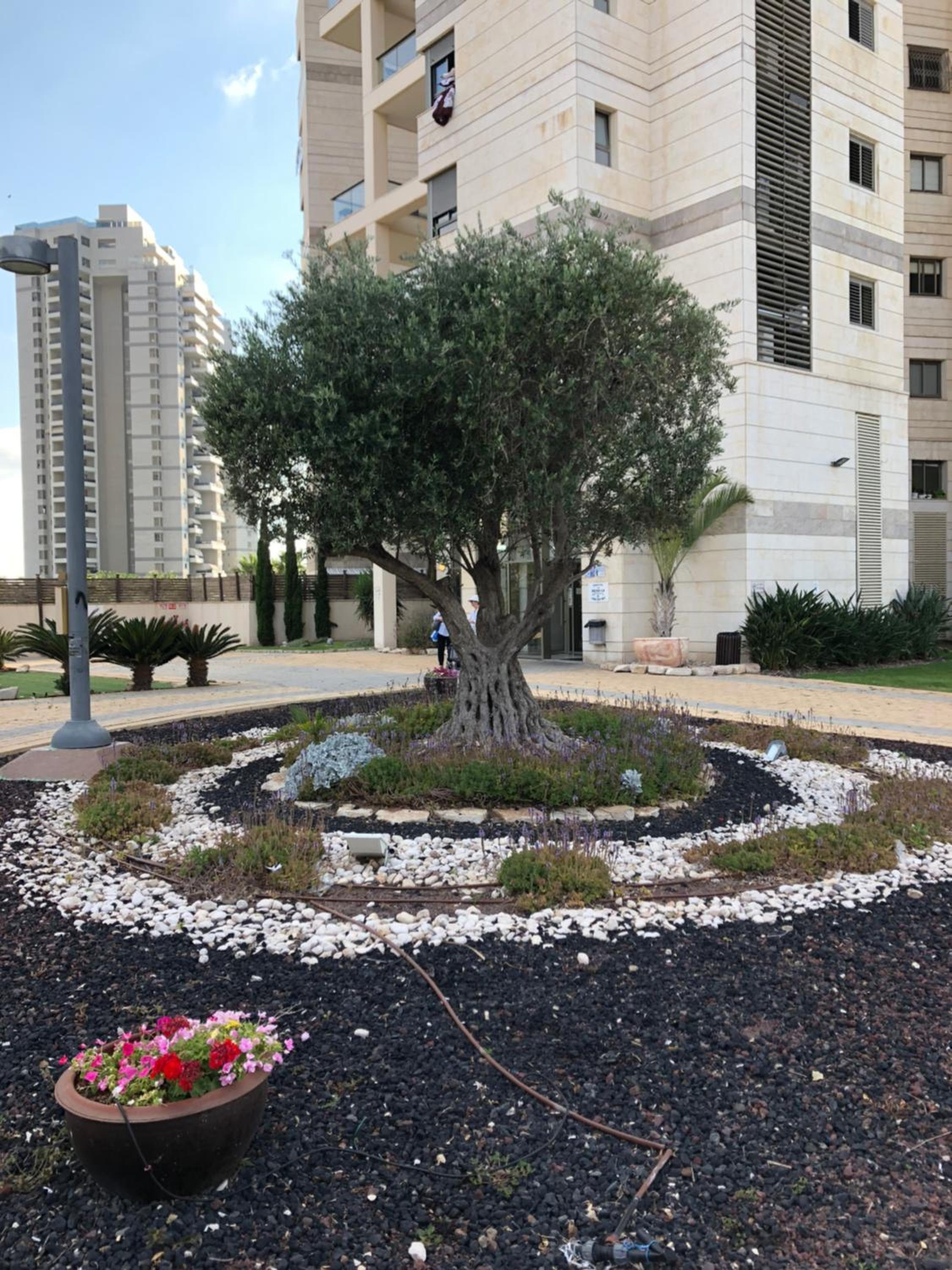 Apartment "Style City" With Sea View, photo 12