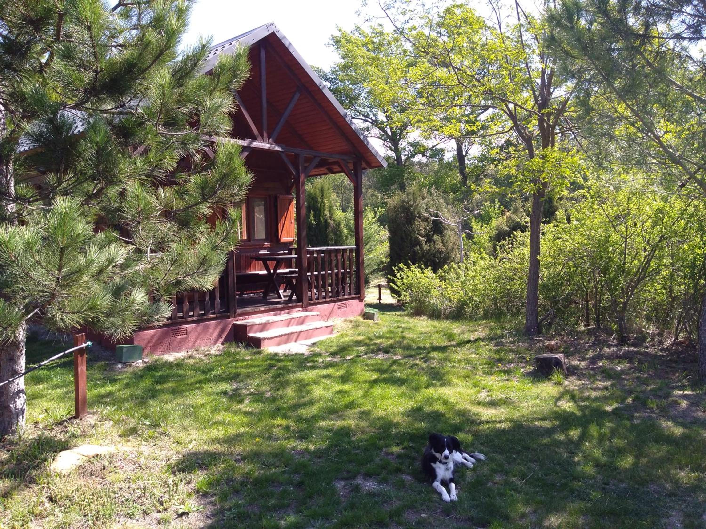 Photo 13