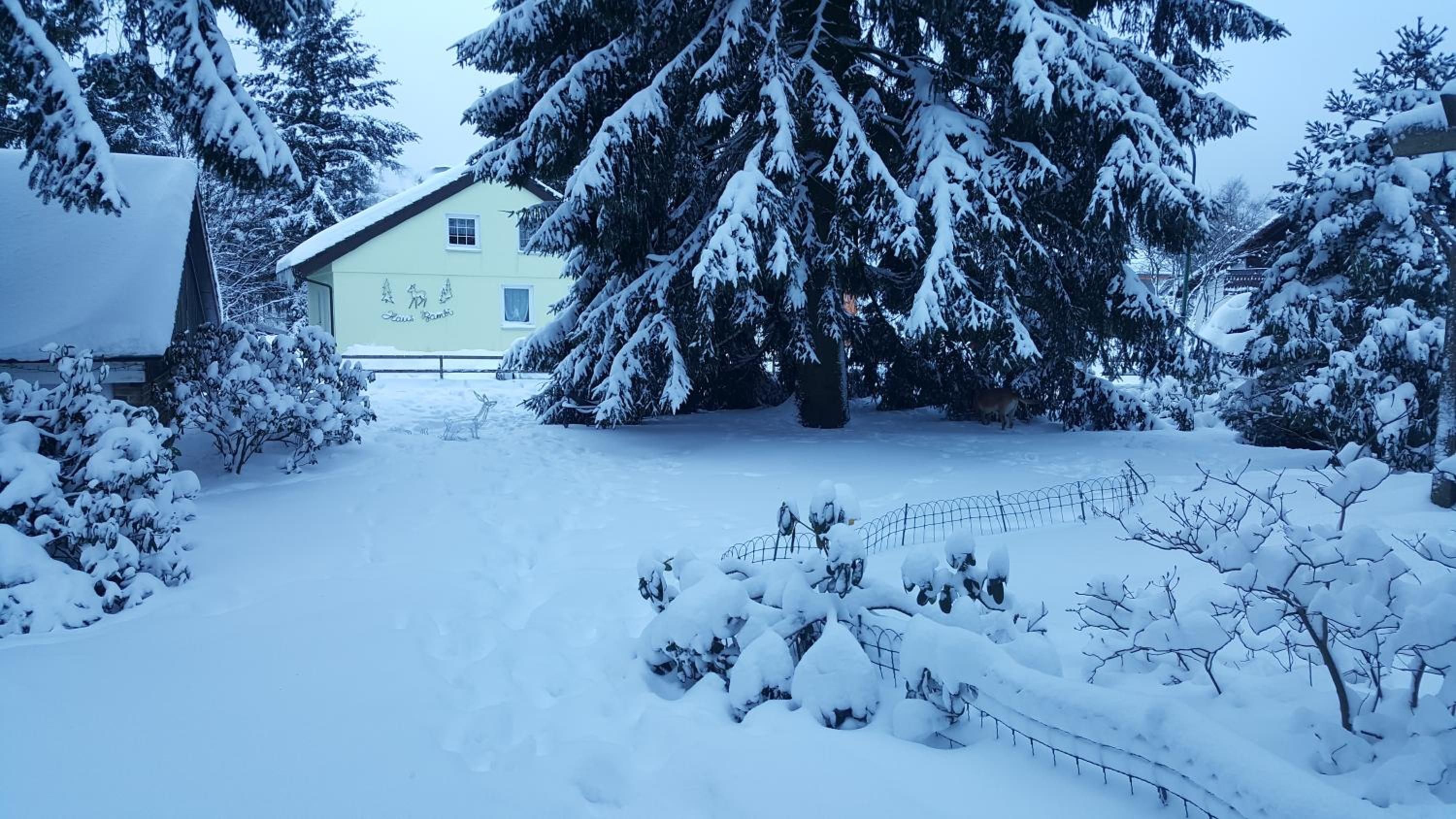 Haus Bambi view 2