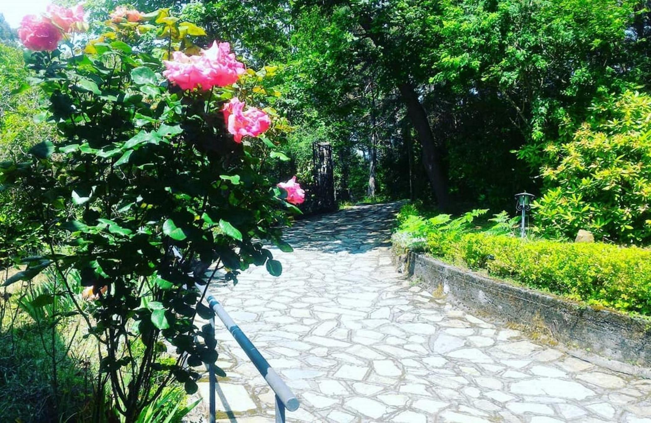 B&B Le Camelie del Bosco