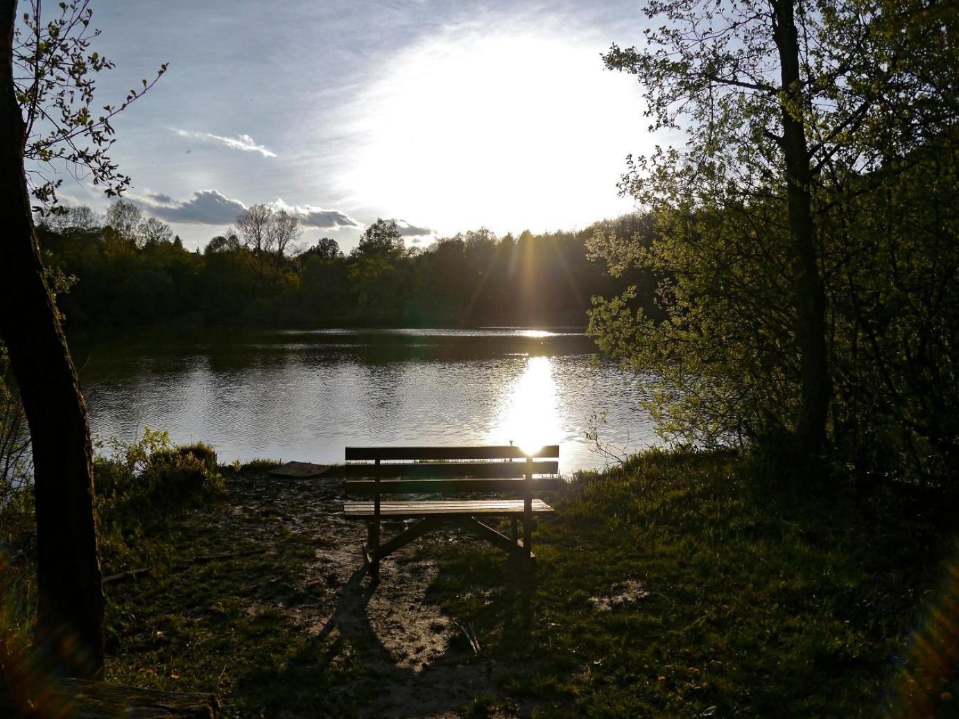 Photo 33