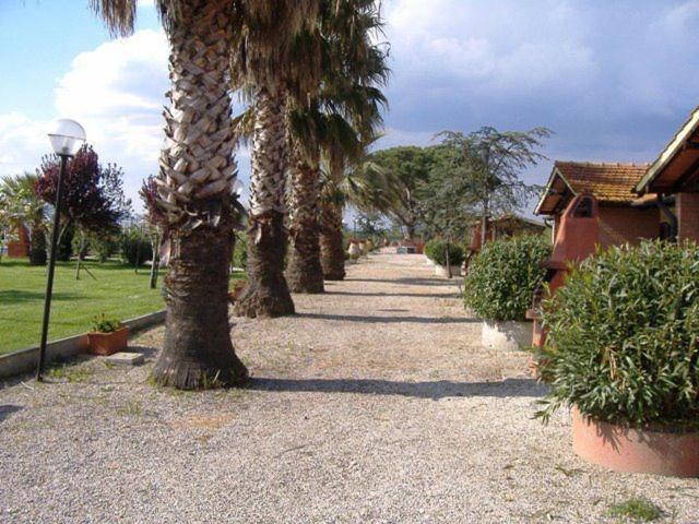 Tortuga Casa Vacanze