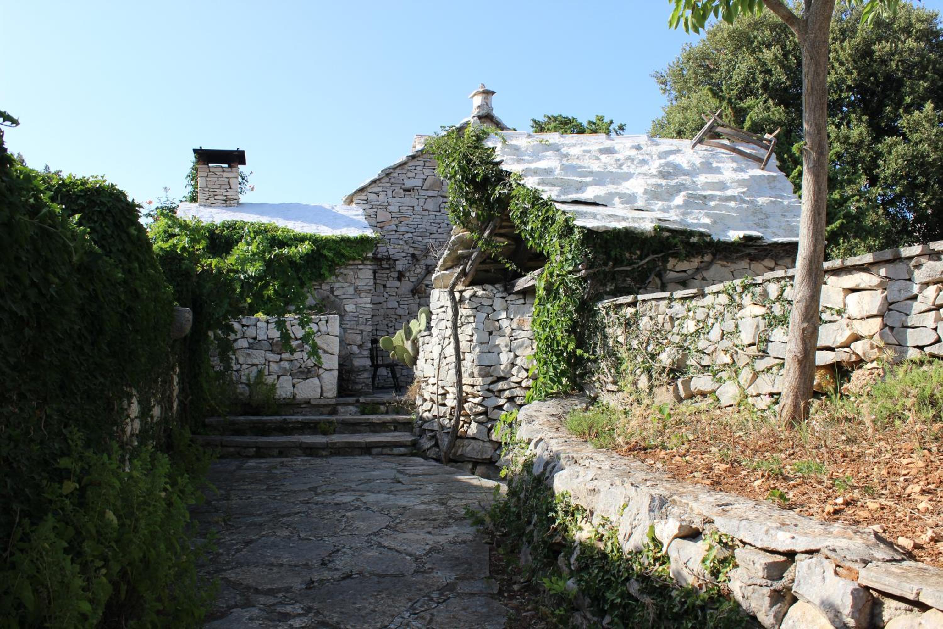 Photo 42