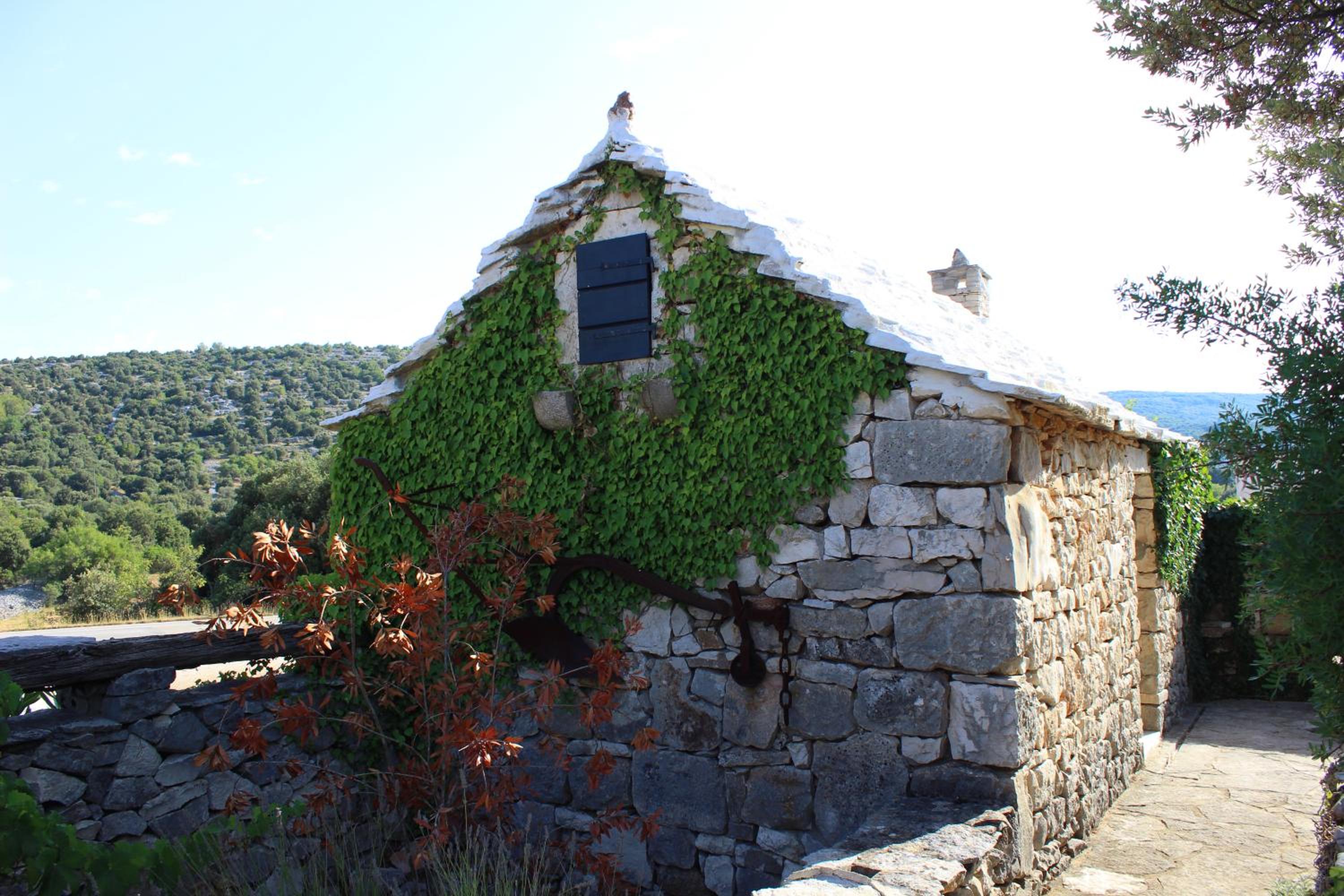Photo 43