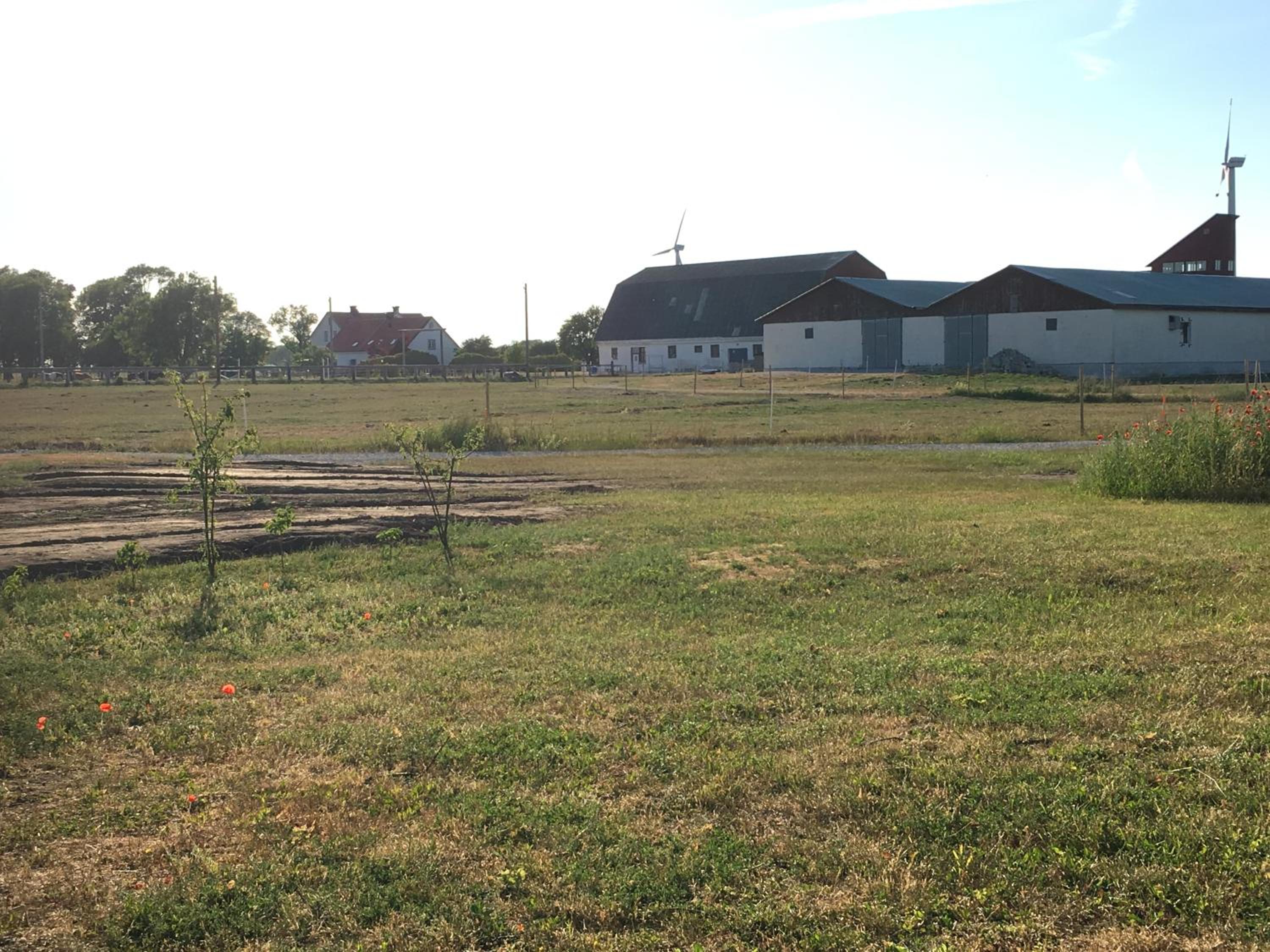 Photo 21