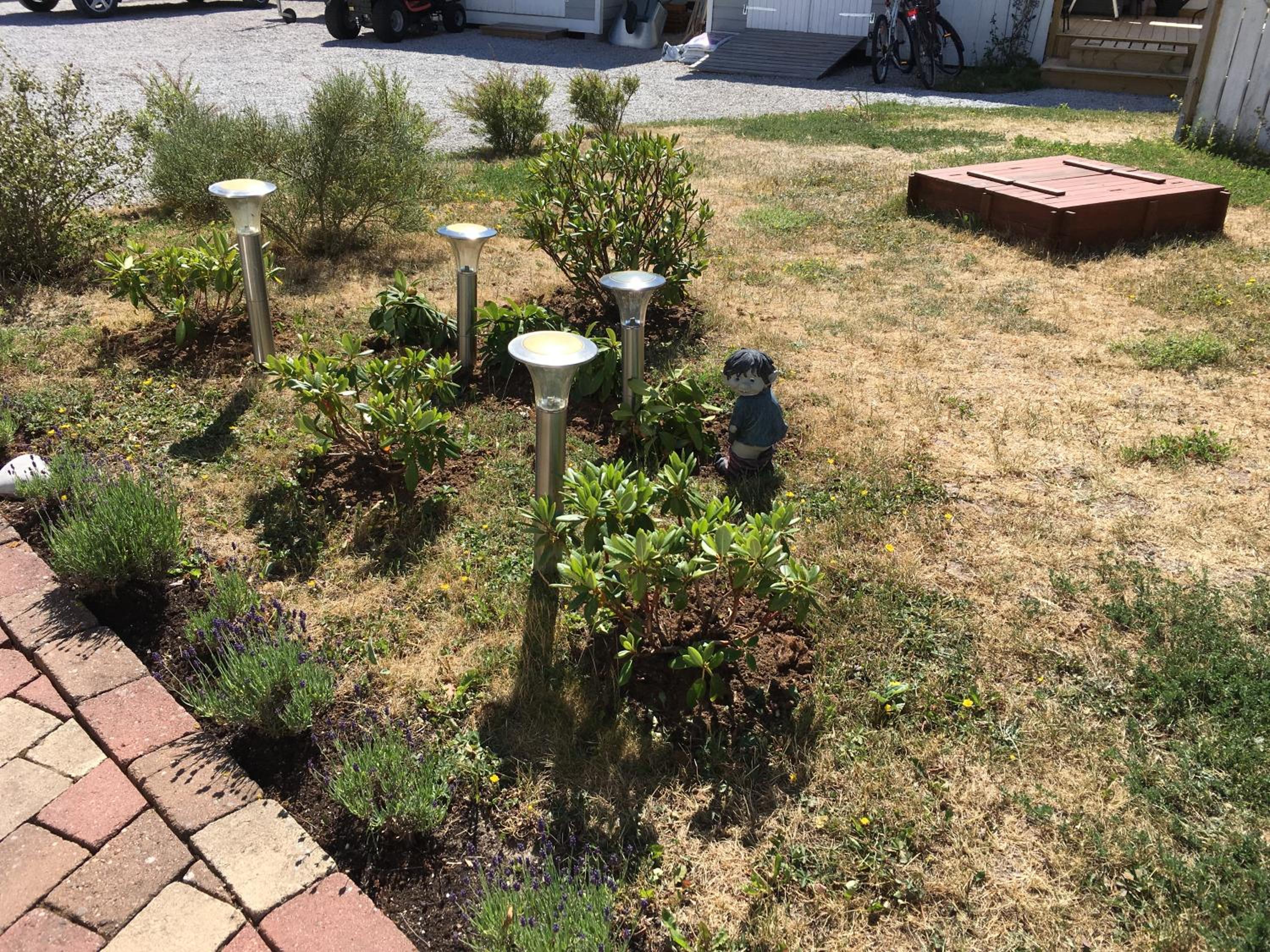 Photo 19