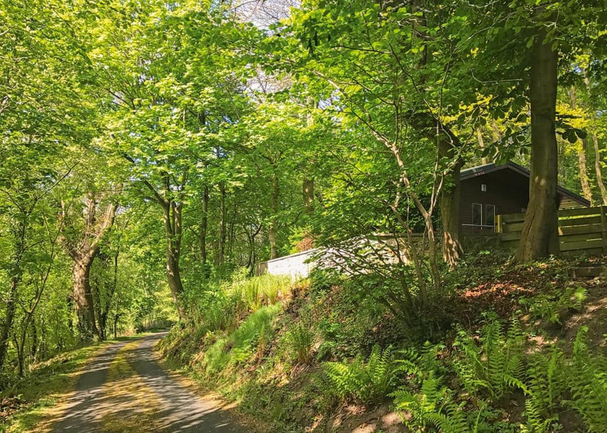 Hideaway Lodges