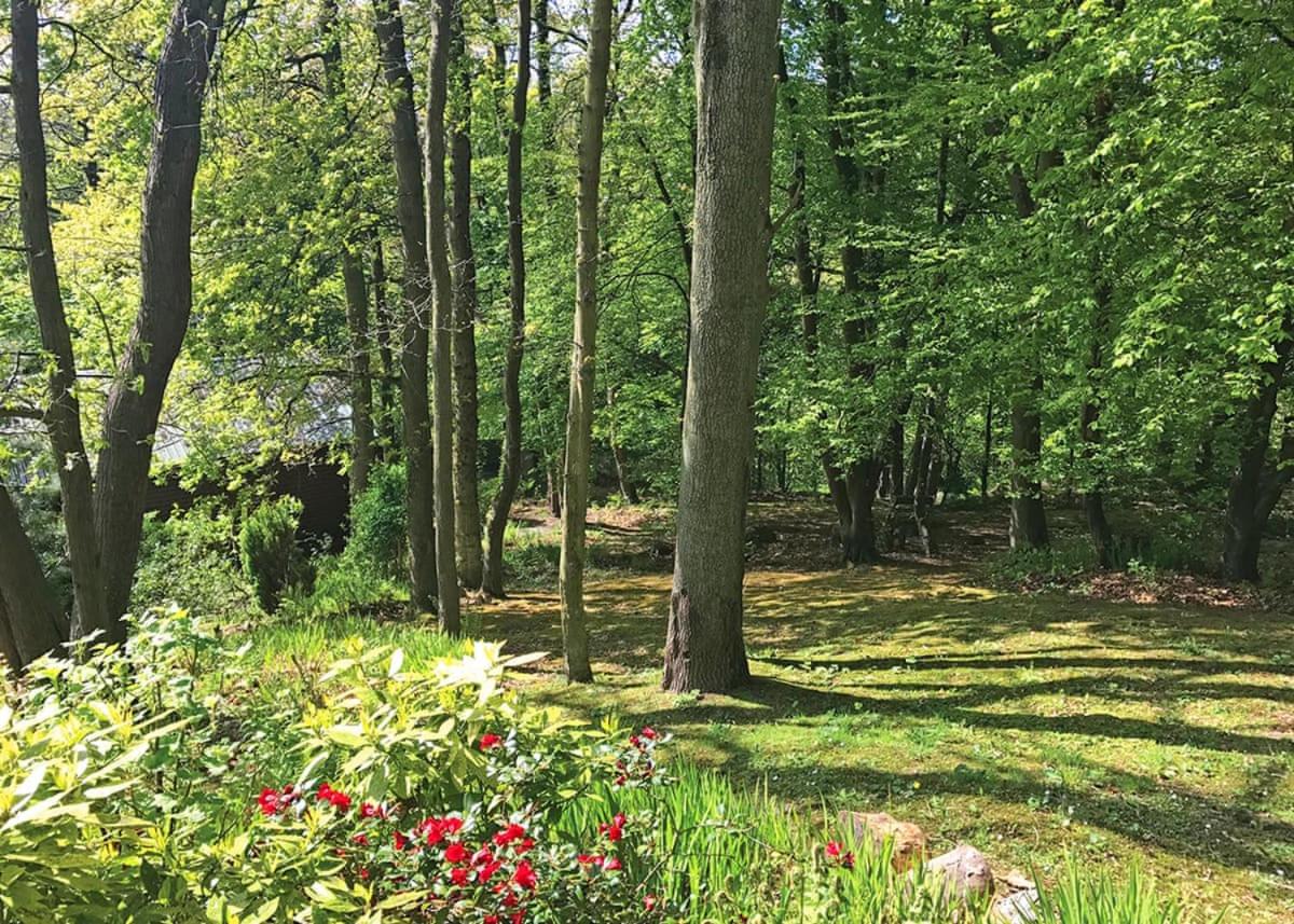 Hideaway Lodges, photo 9