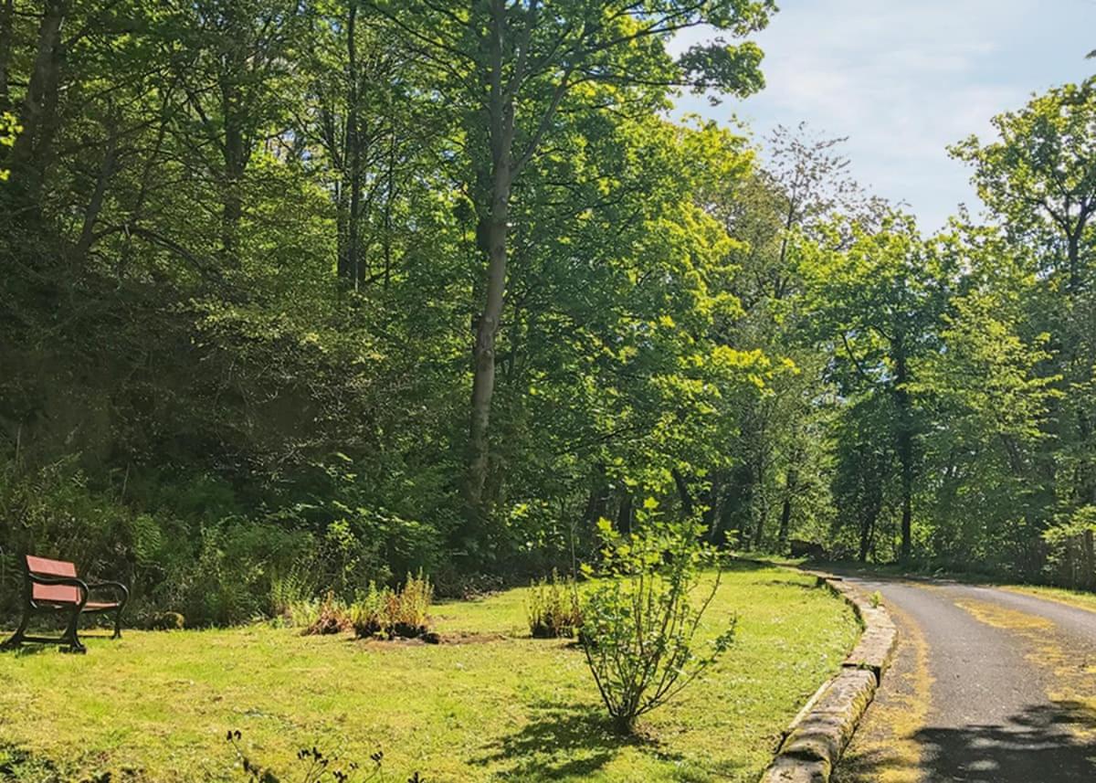 Hideaway Lodges, photo 10