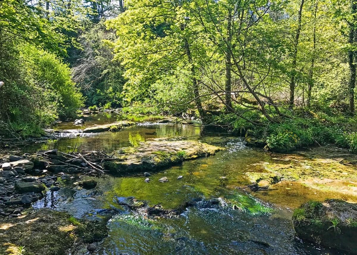 Hideaway Lodges, photo 11