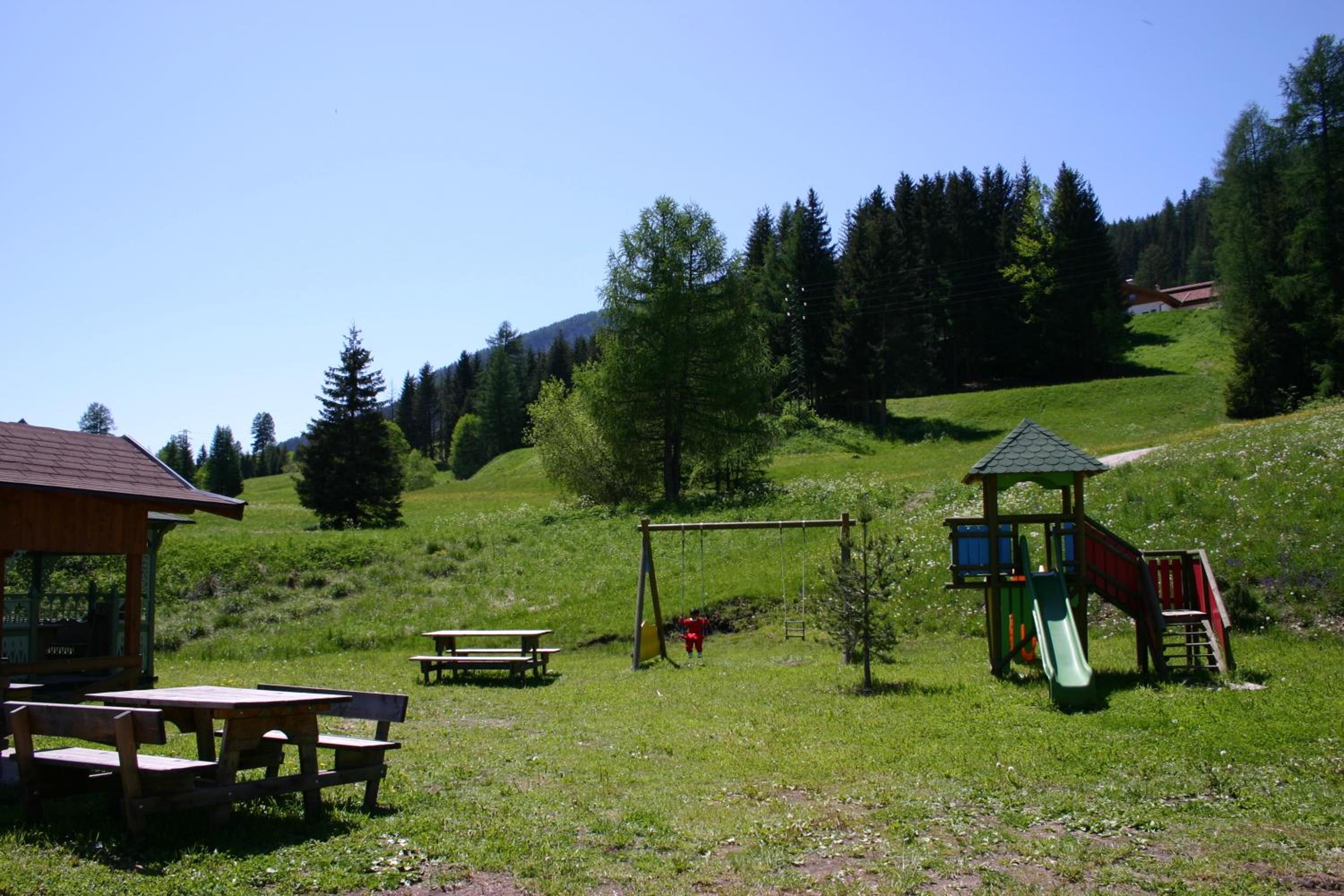 Photo 51