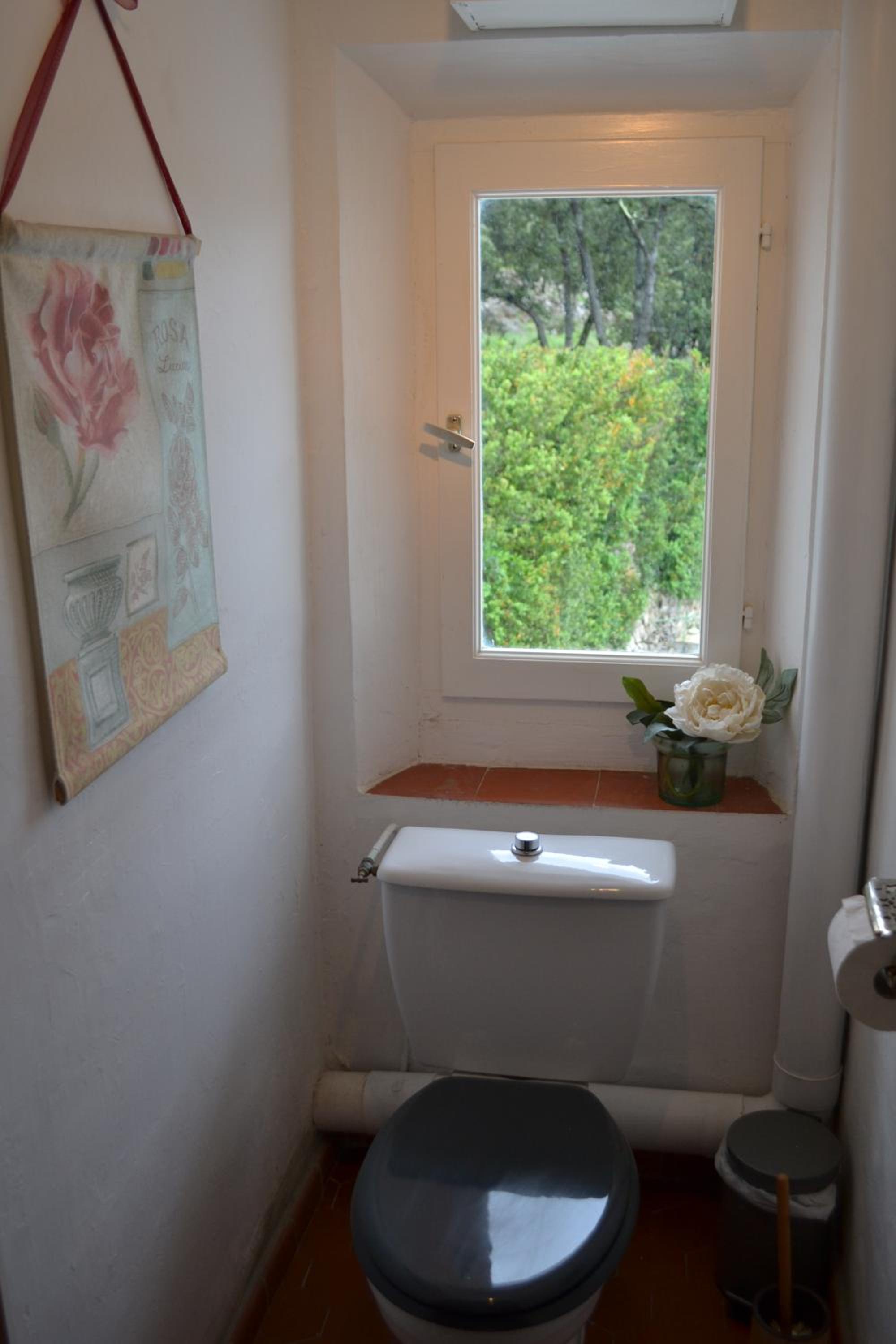 Photo 37