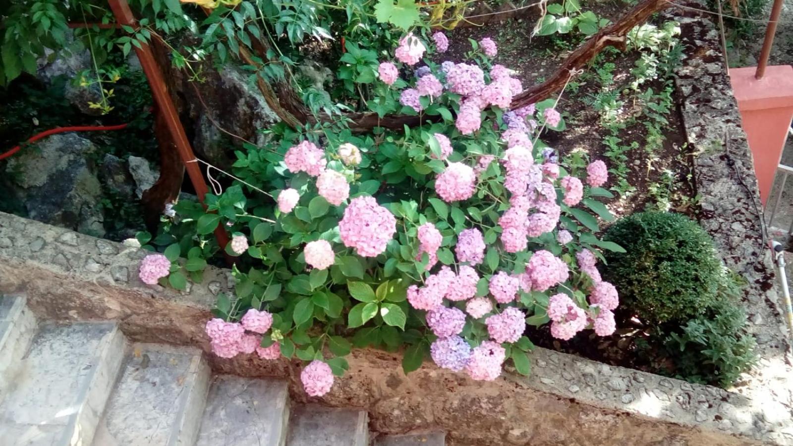 Photo 49