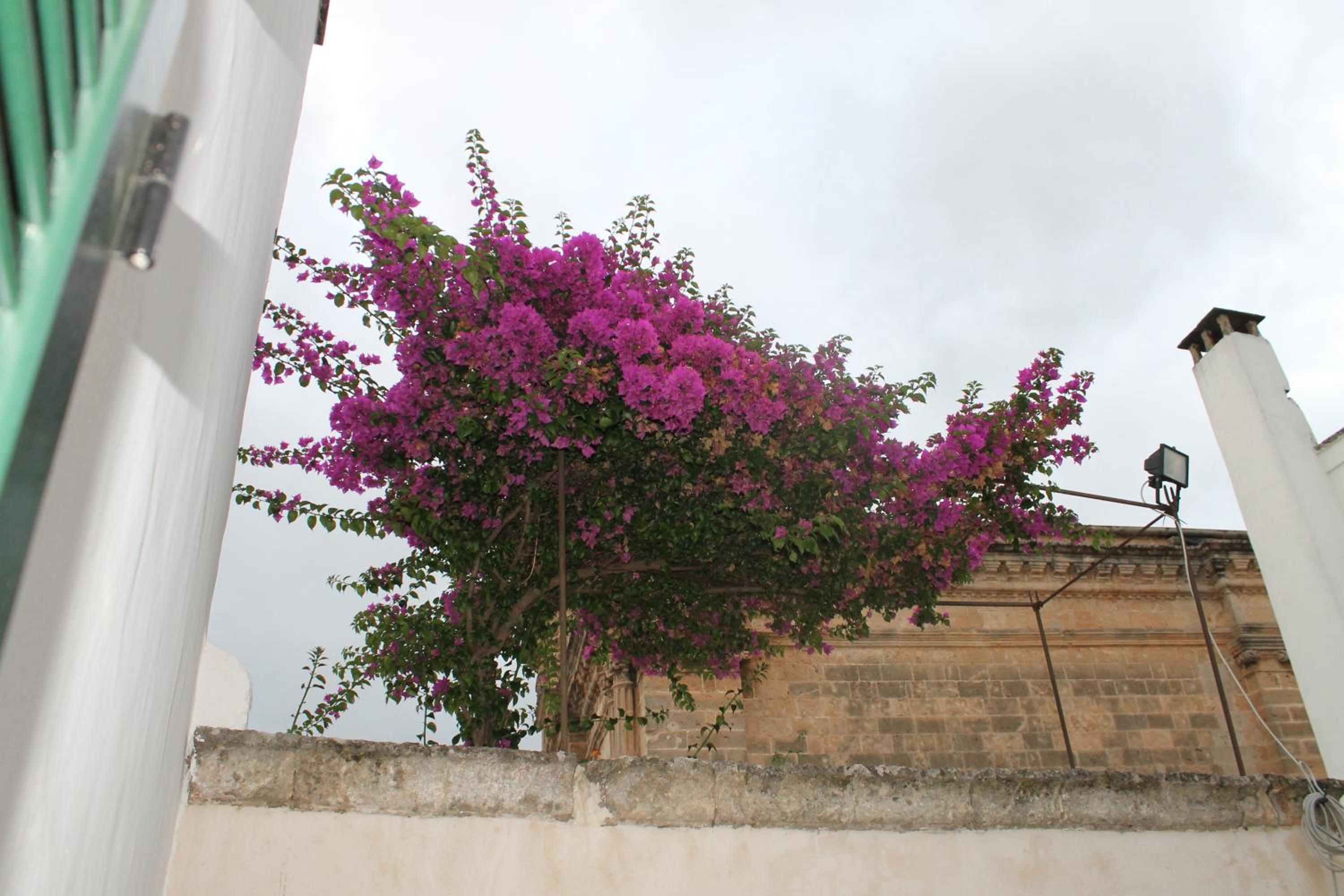 Charme B&B Dimora Quarta, photo 13