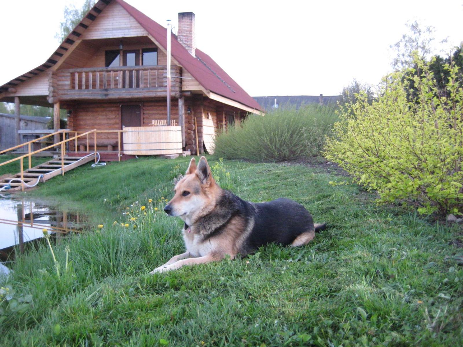 Photo 11