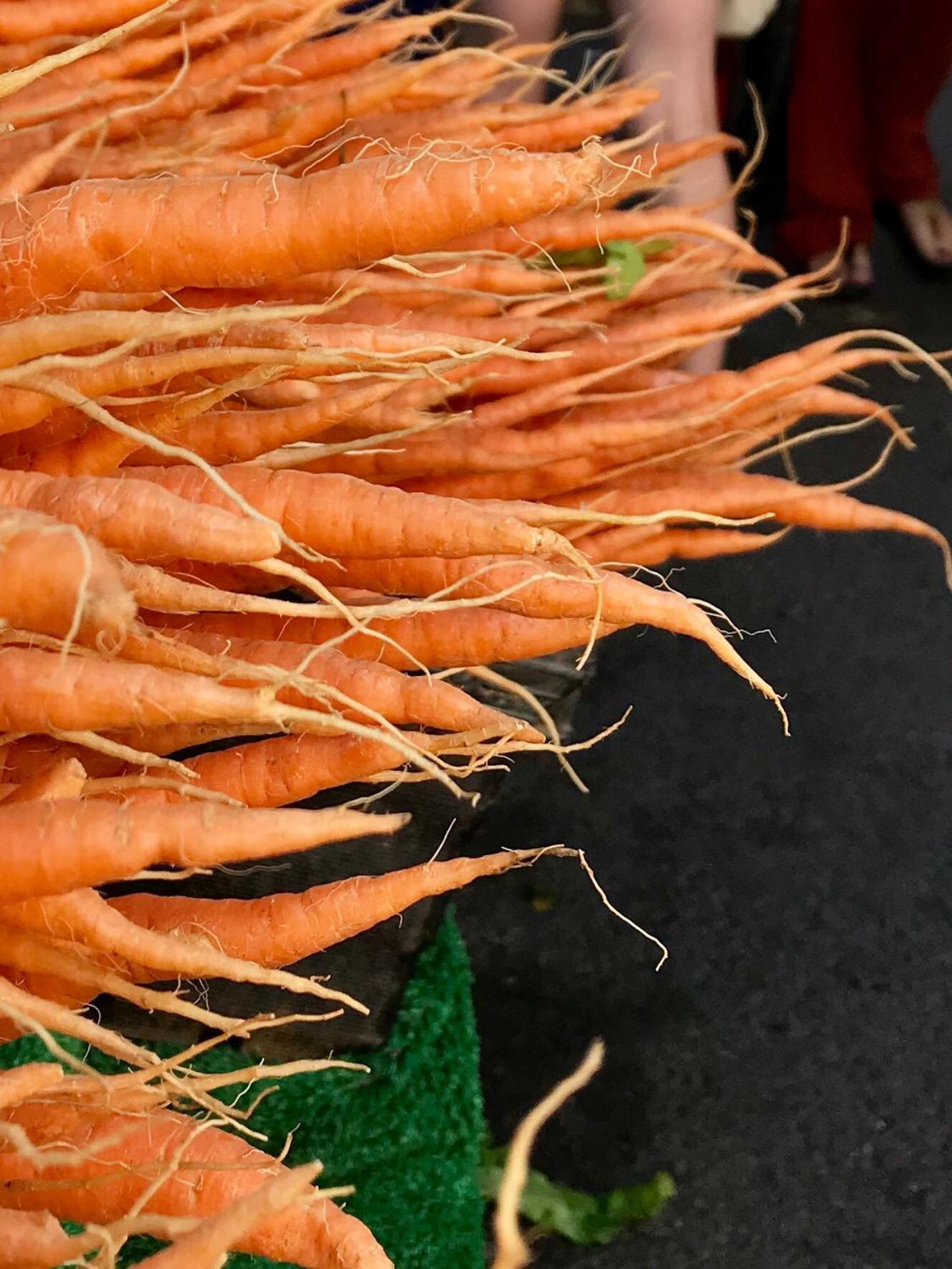 Stroud Vacations - Upper Highview - Self Catering Apartment, fpventures Stroud - Property Image 10