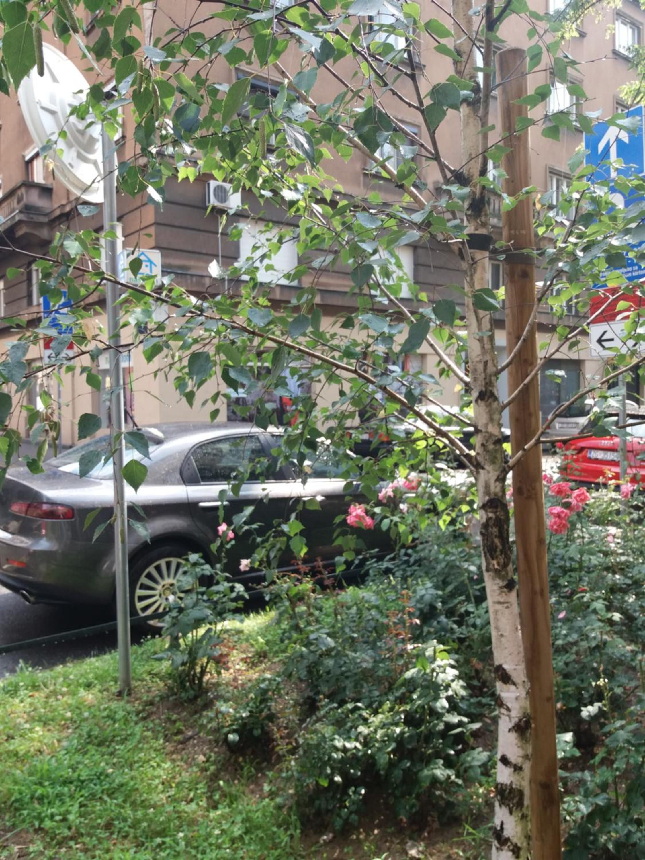 parking