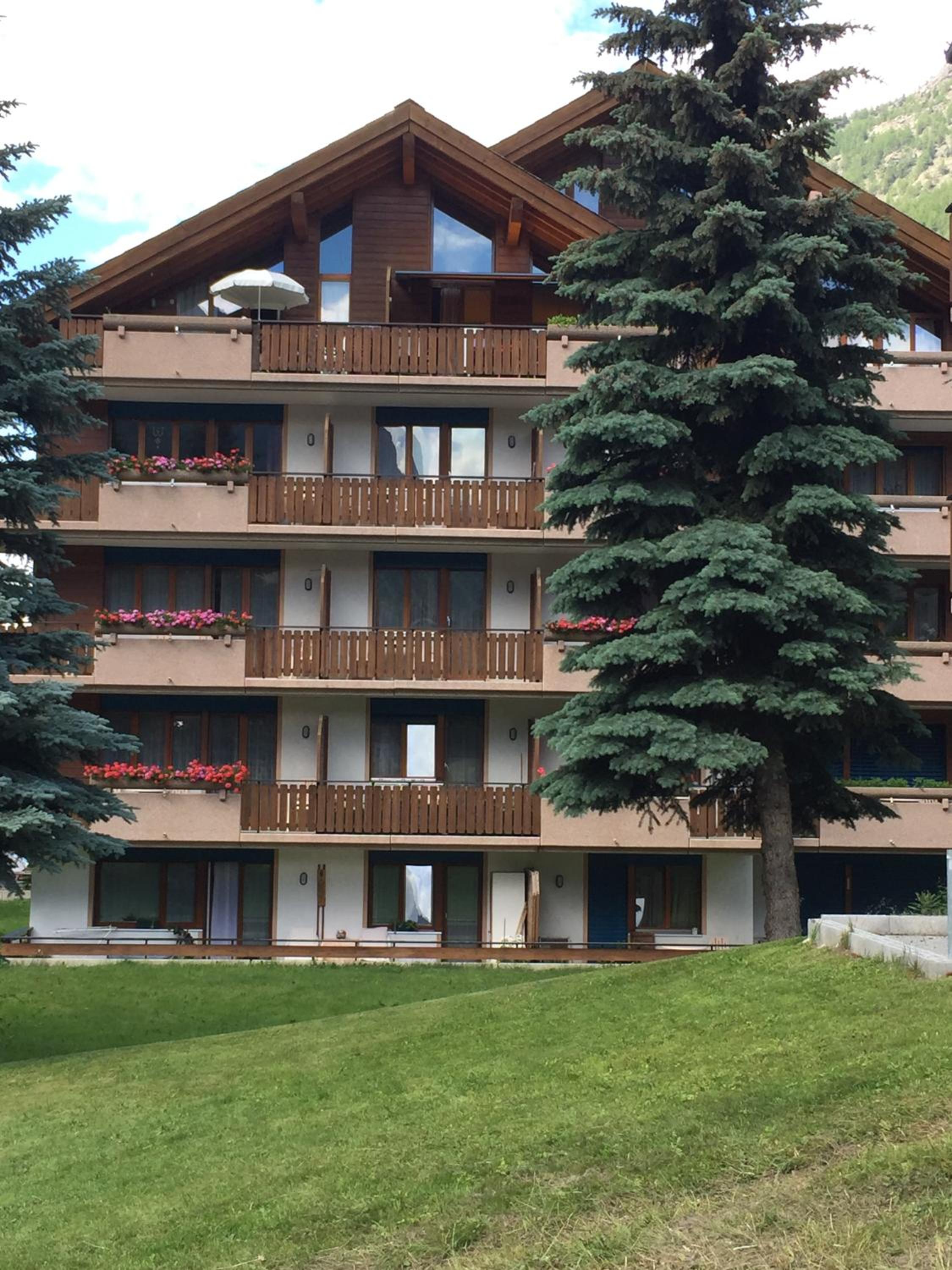 Photo 12