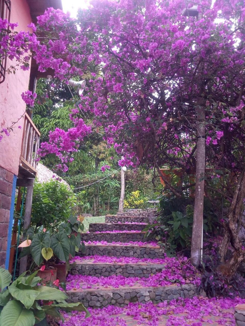 Selvablanca Hostel