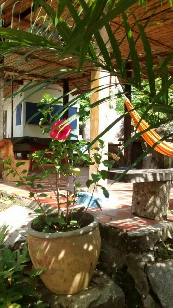 Selvablanca Hostel