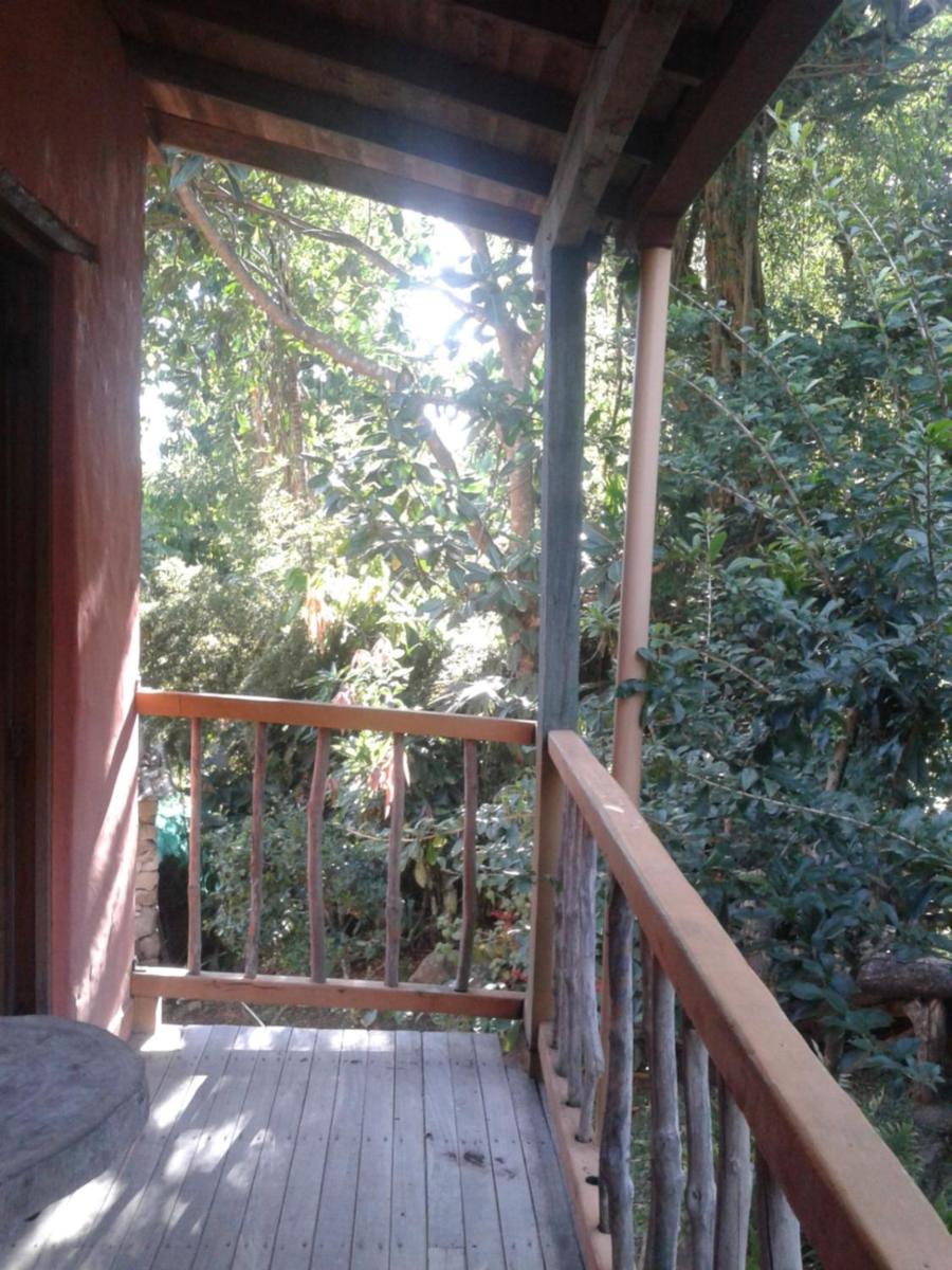 Selvablanca Hostel
