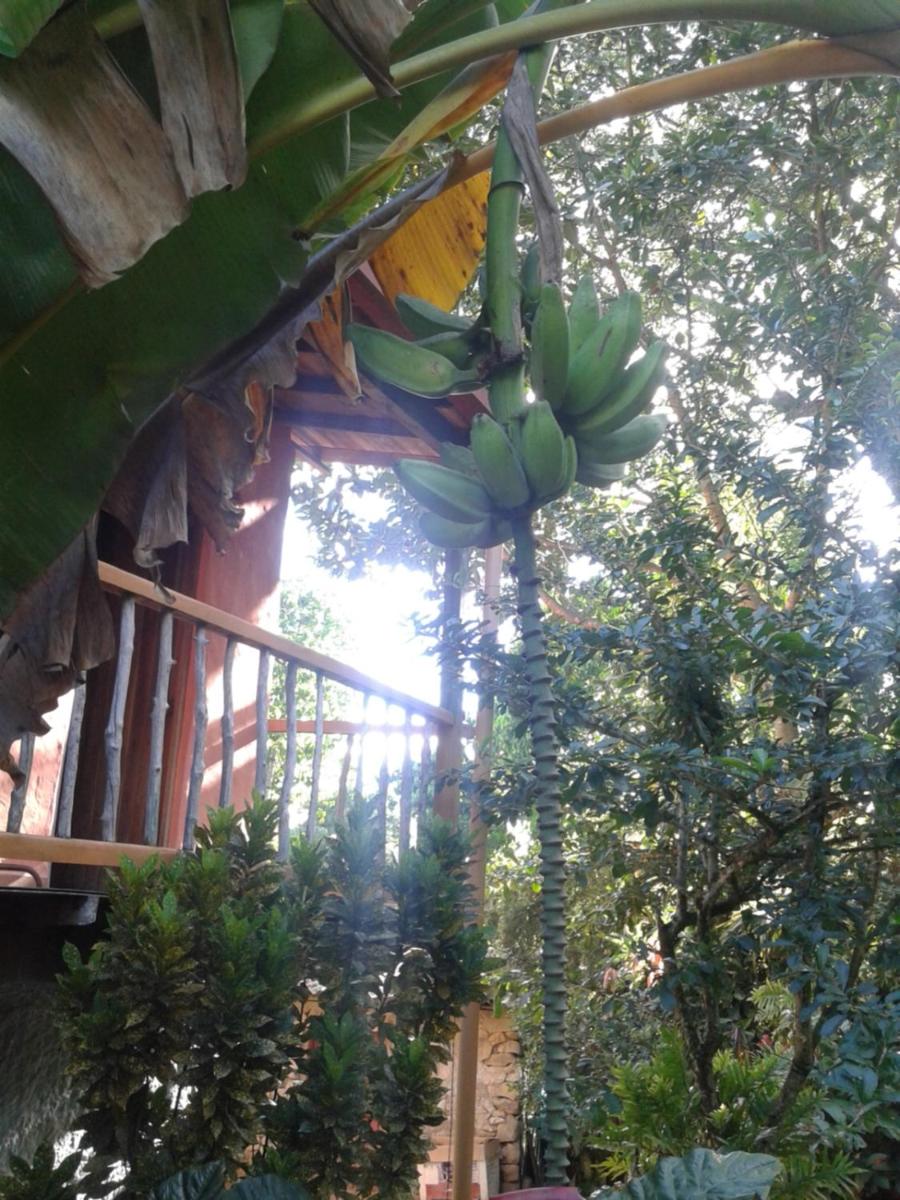 Selvablanca Hostel