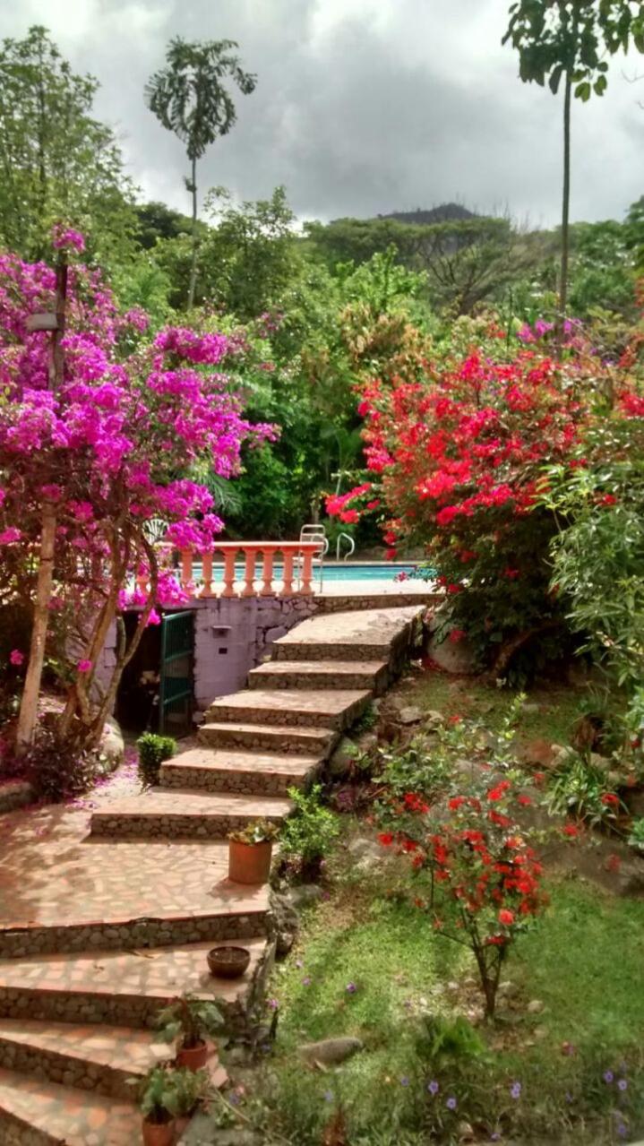 Selvablanca Hostel