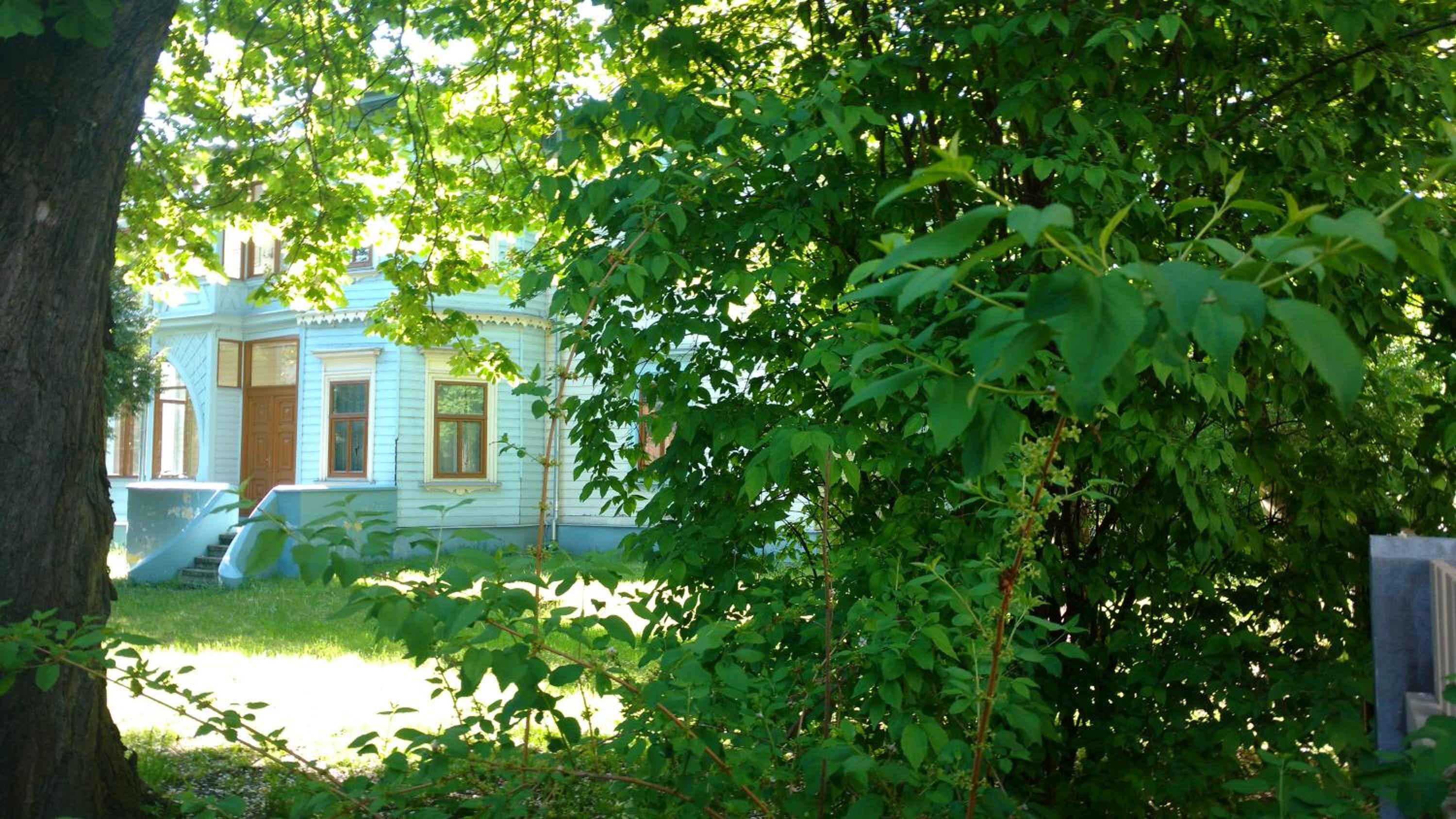 Photo 12