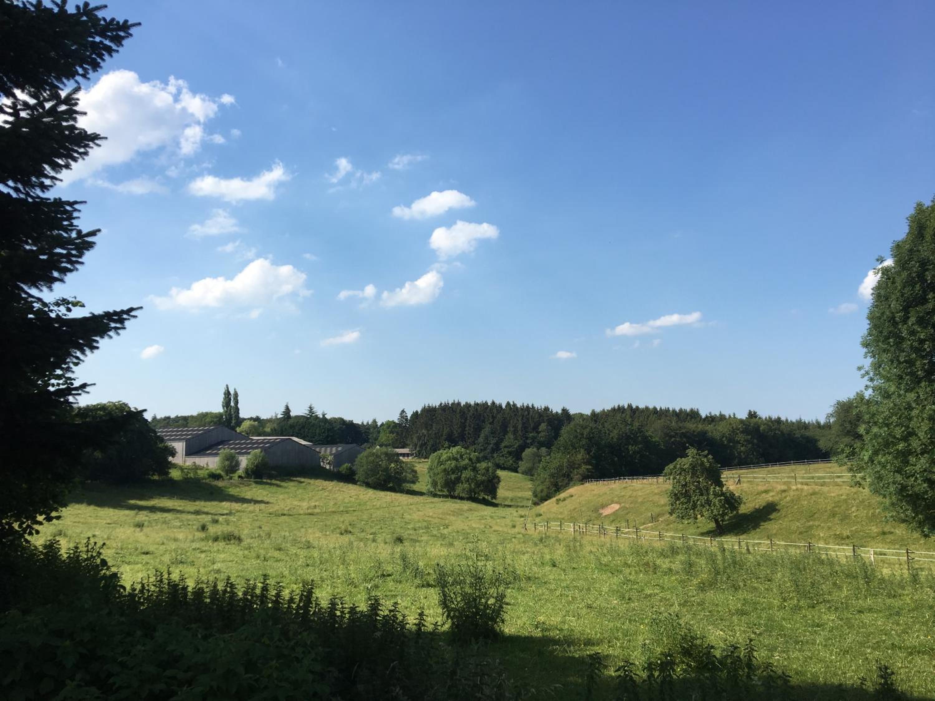 Cottage in Ardennes - La Maison aux Moineaux - Fays-Famenne