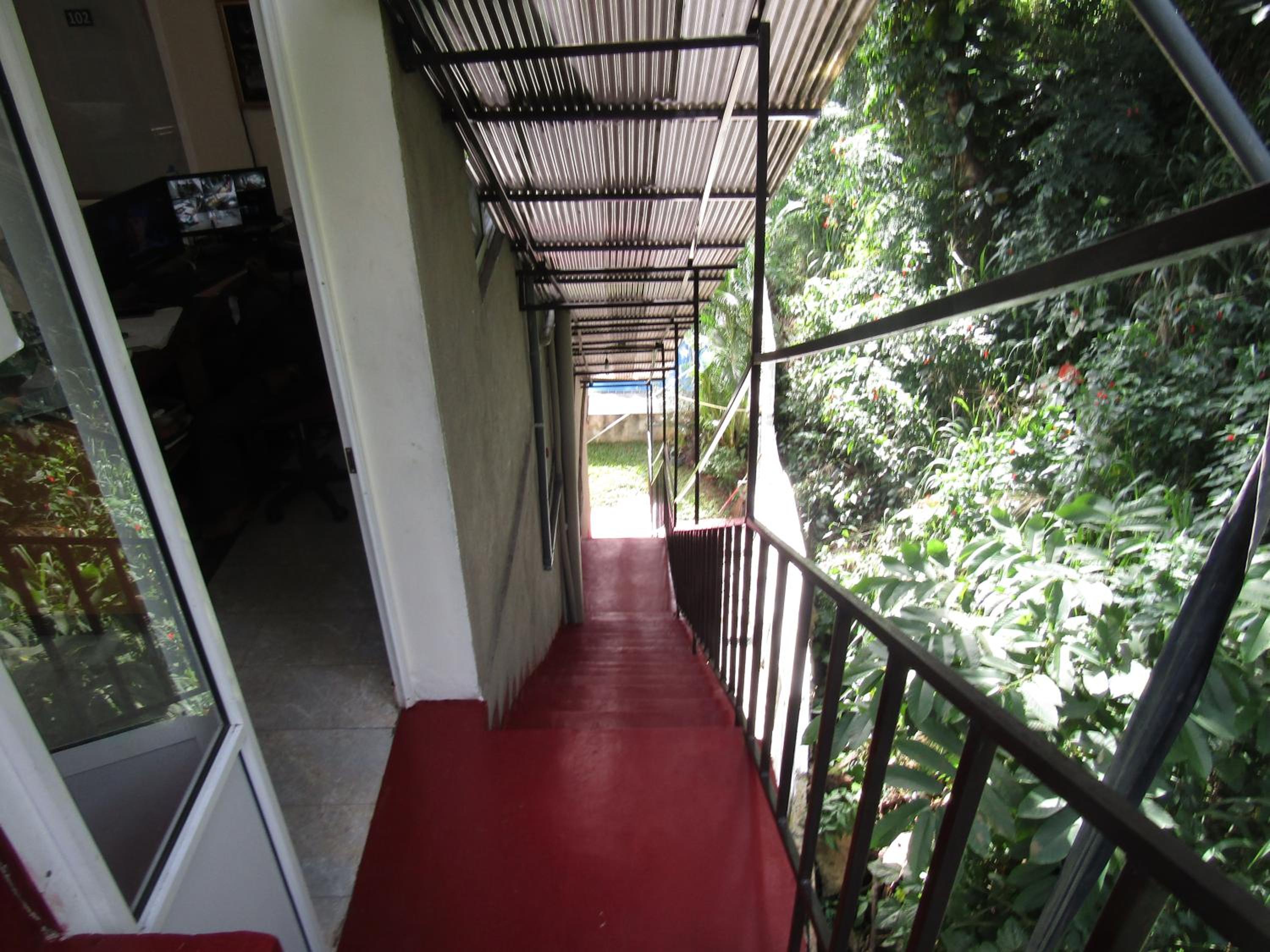 Photo 46