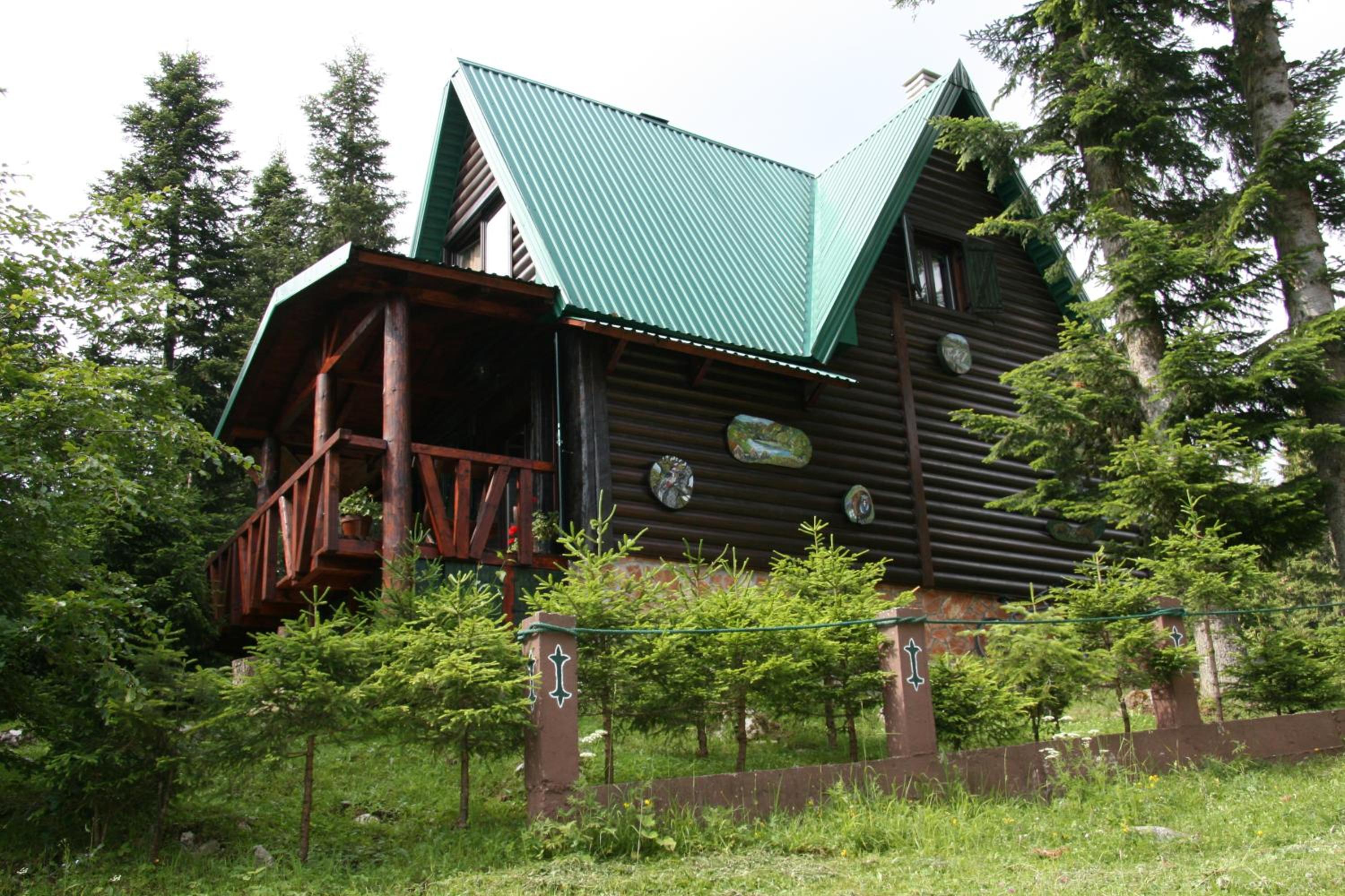 Photo 10