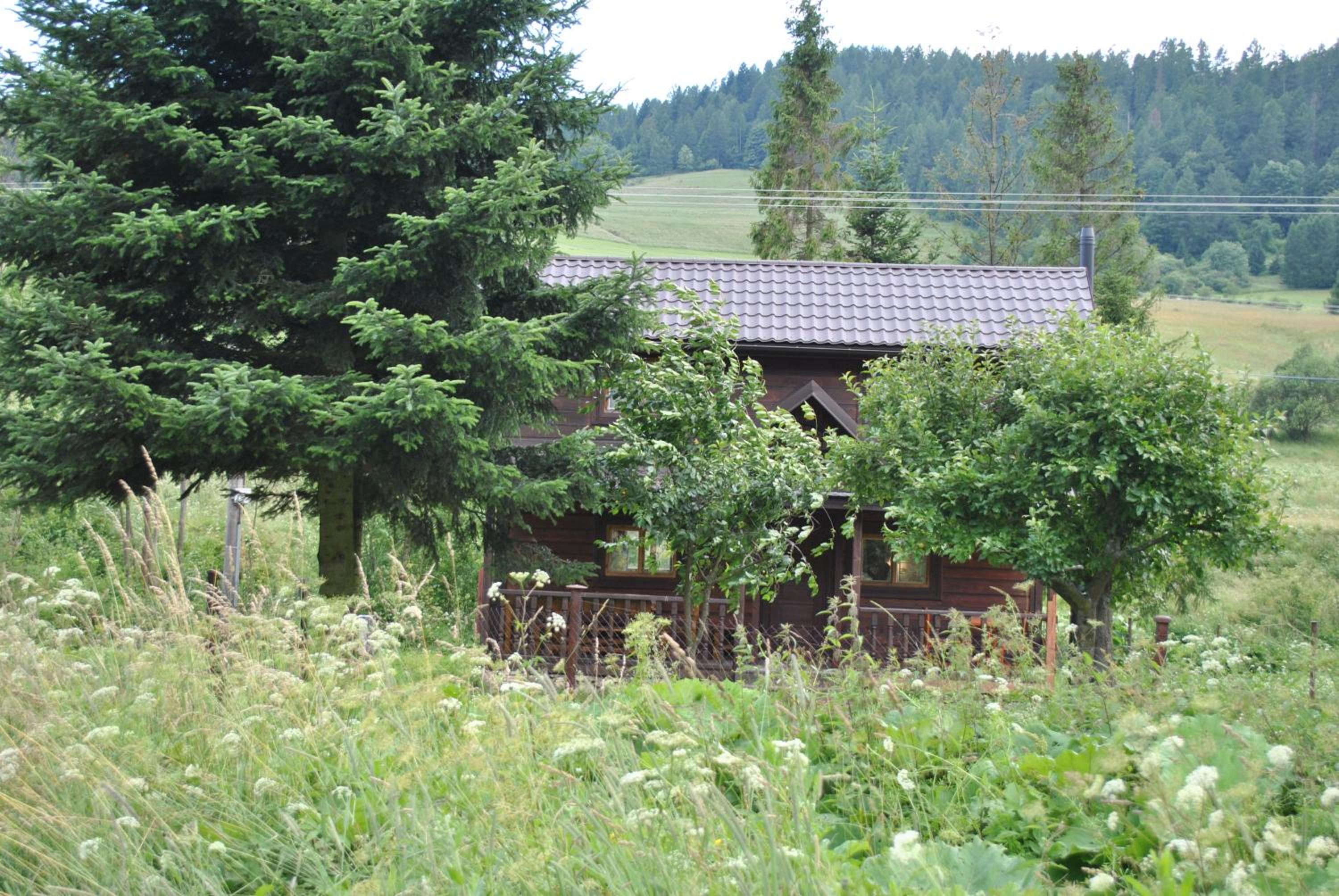 Photo 26