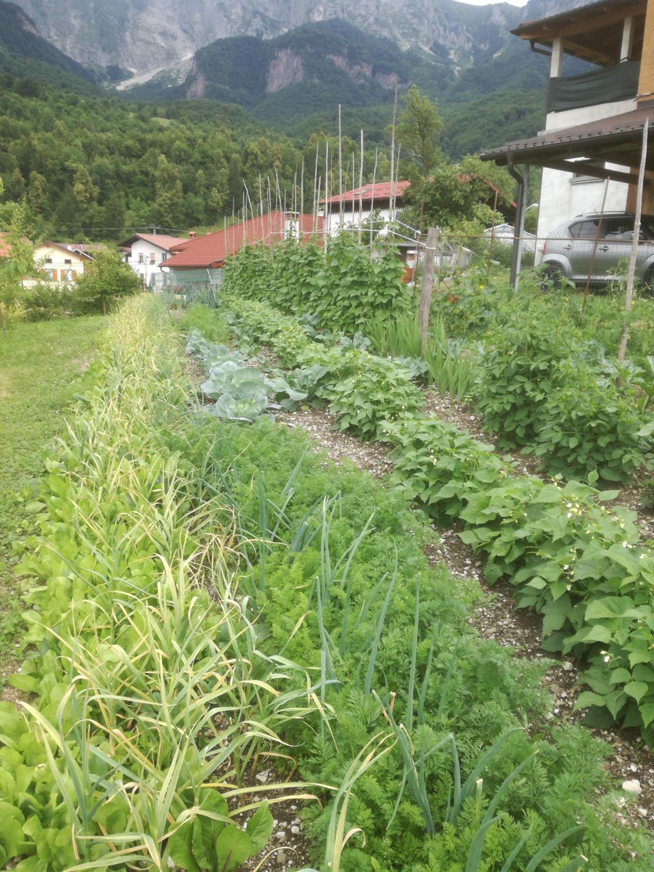 Photo 14