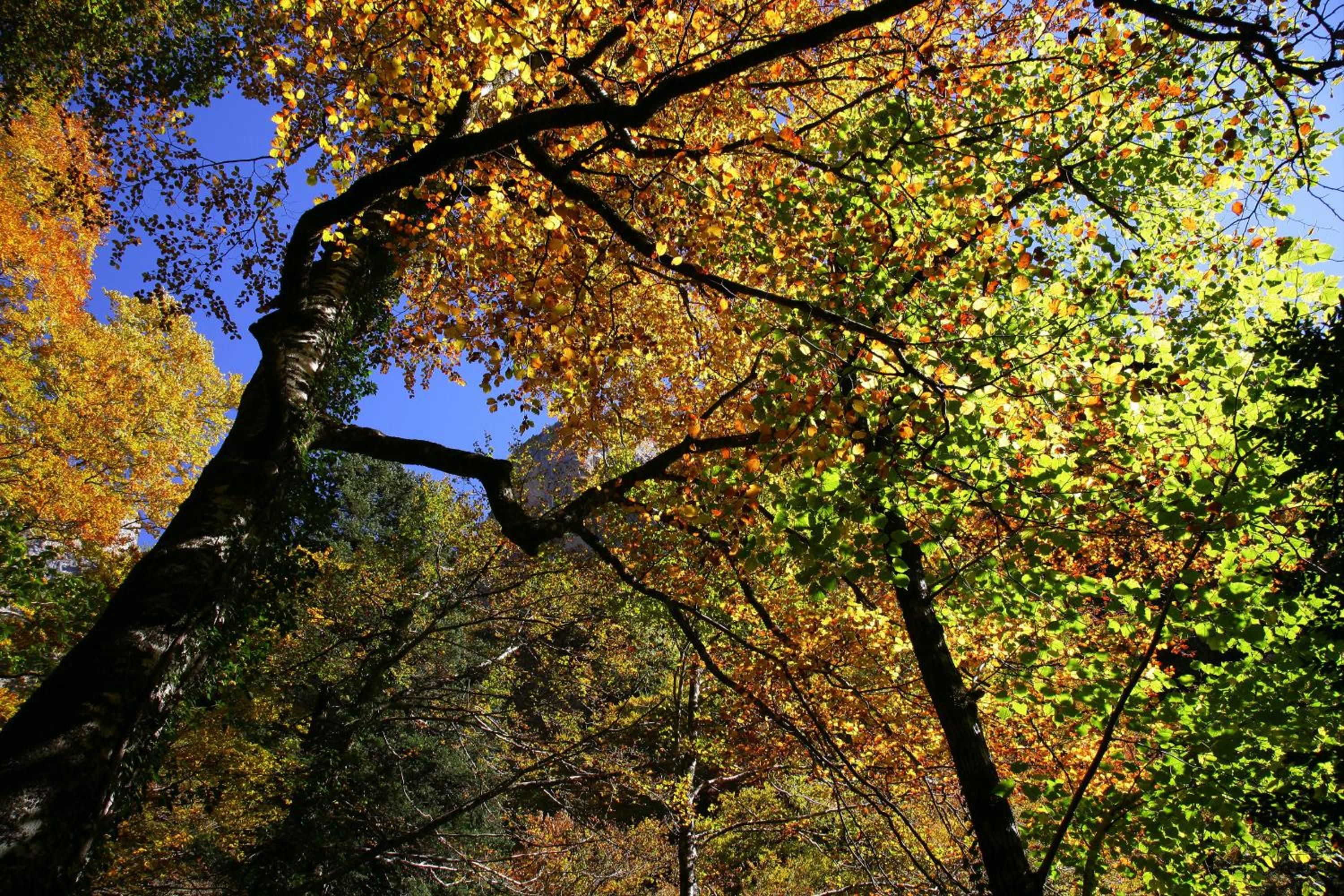 Photo 46