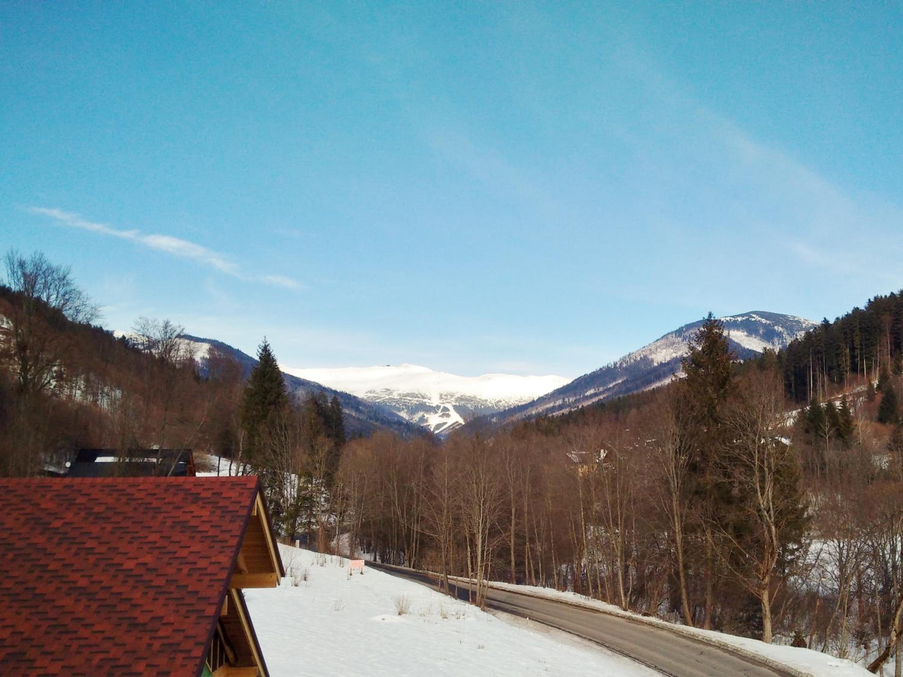 Photo 43