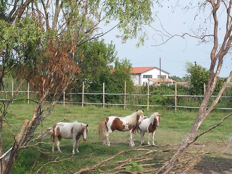 Quadrifoglio Relax