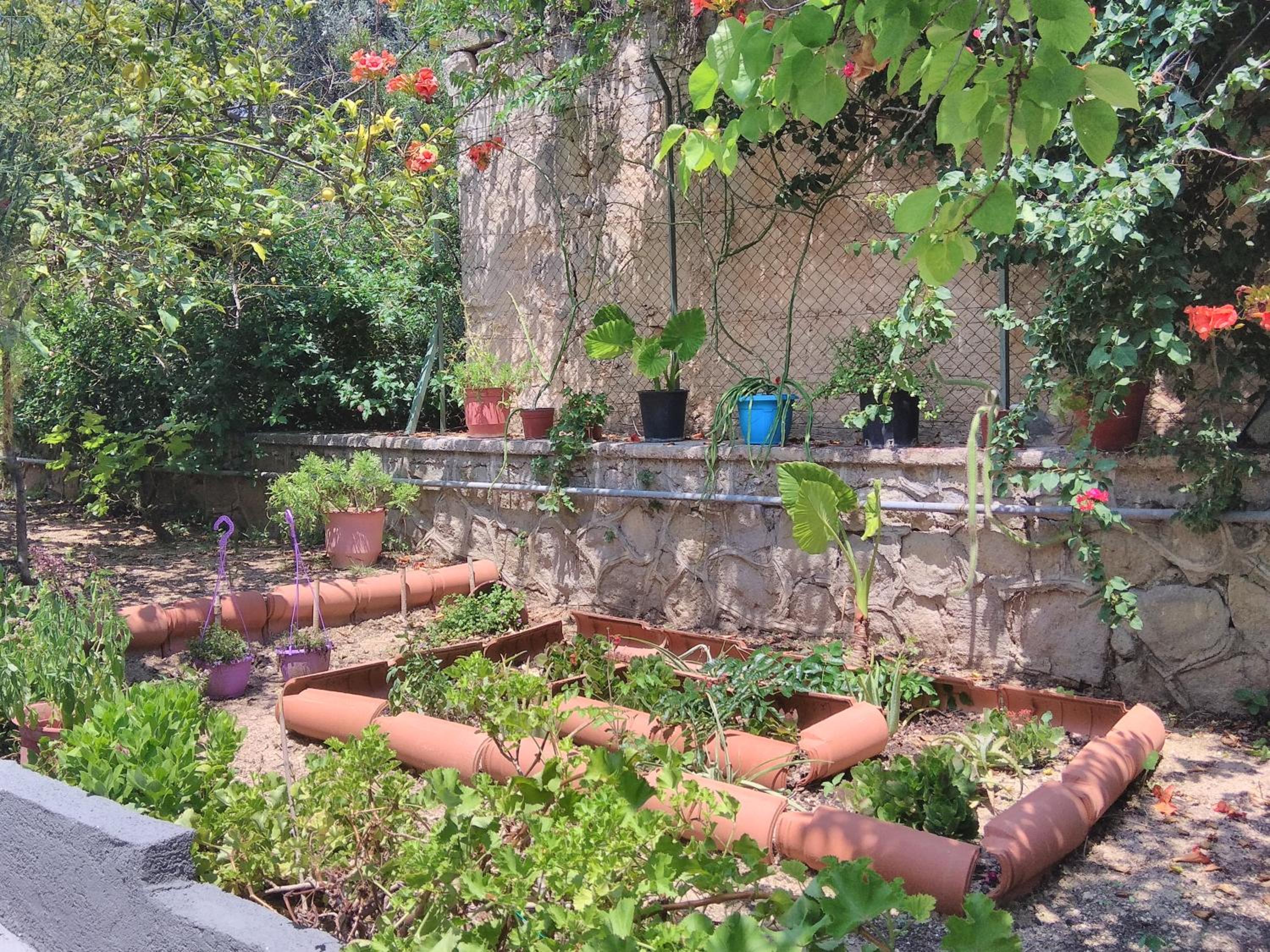 garden