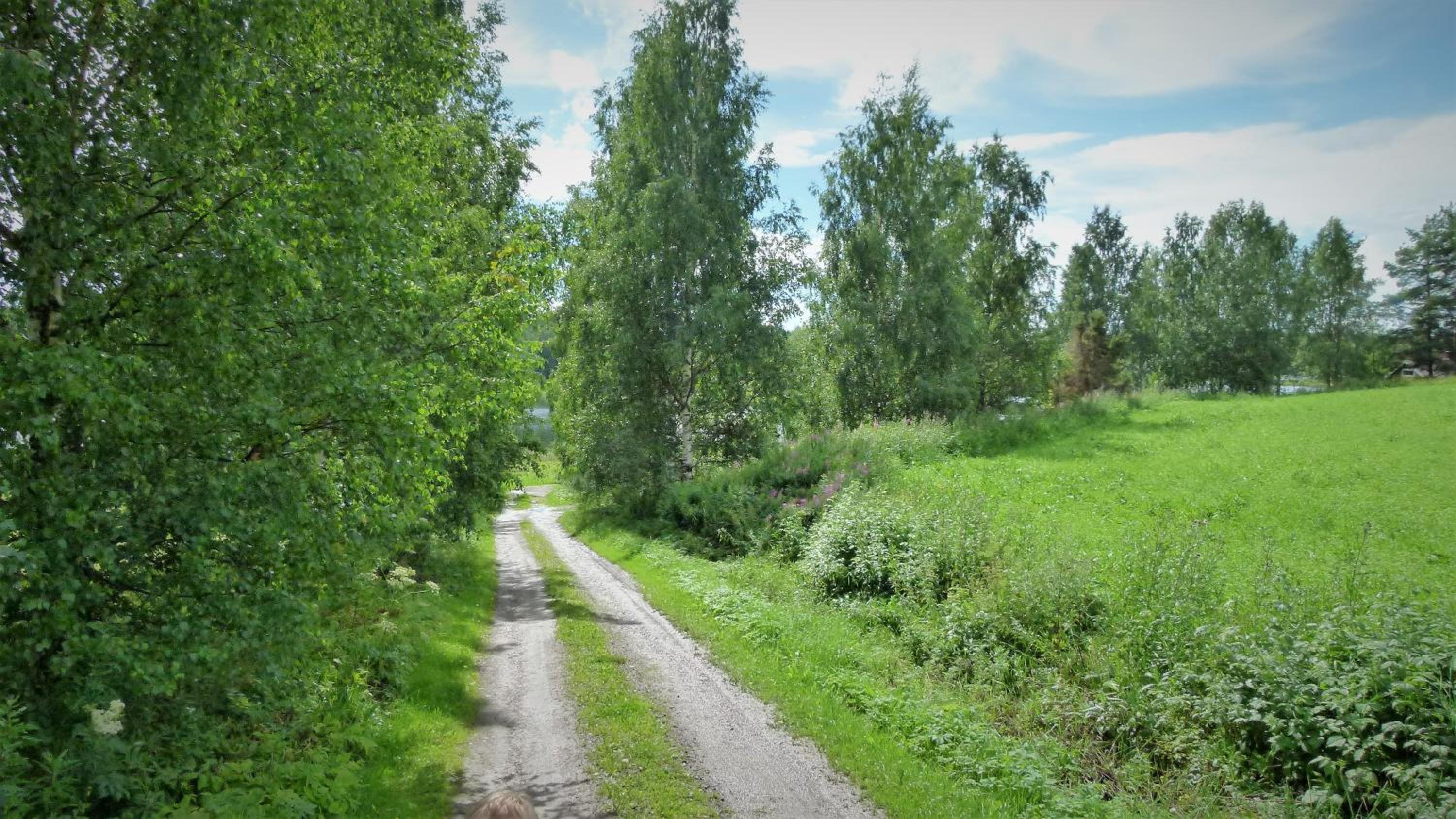 Photo 14