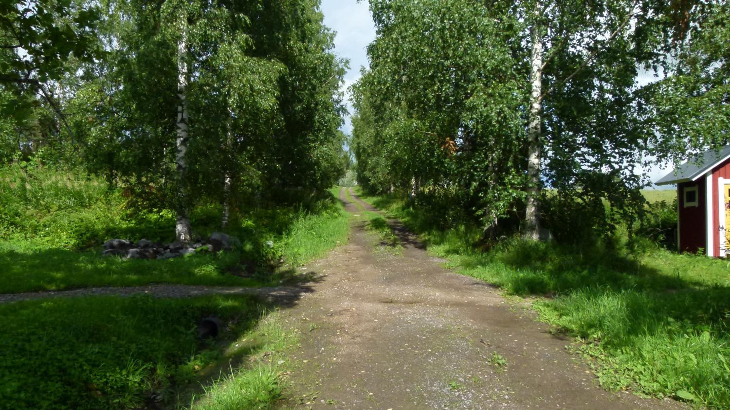 Photo 21