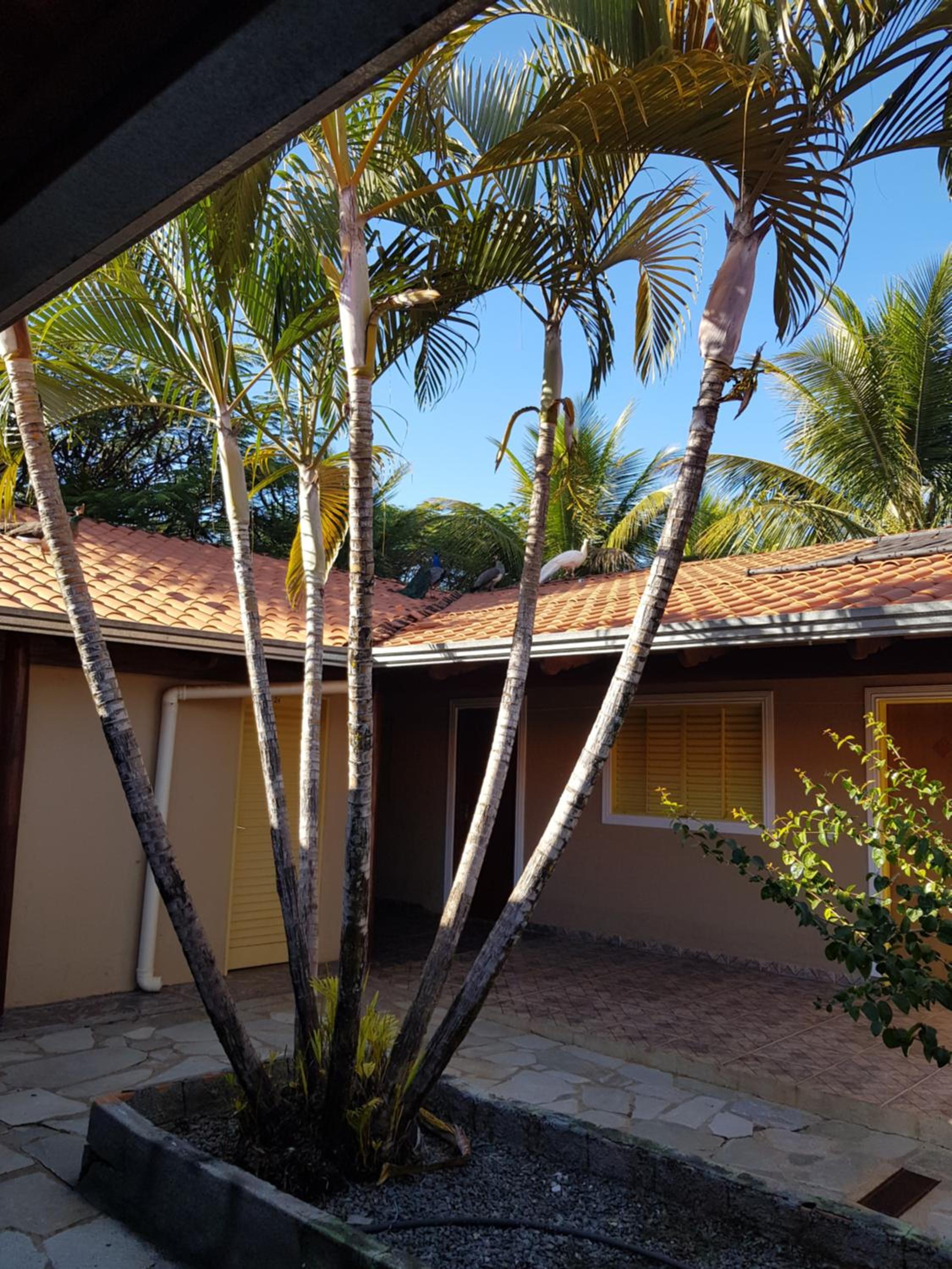 Camping Clube e Pousada Novilha de Ouro