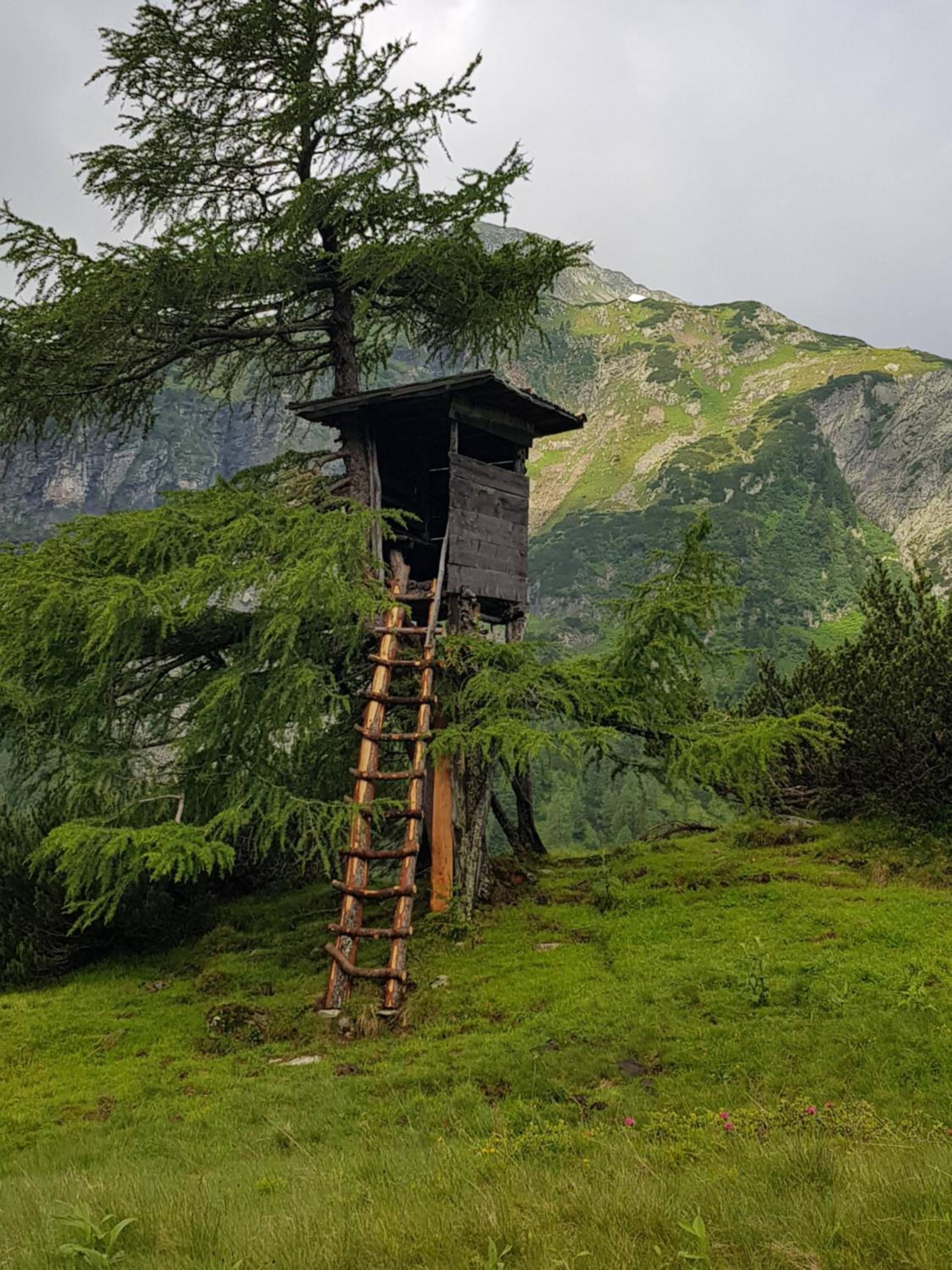 Denggnhof