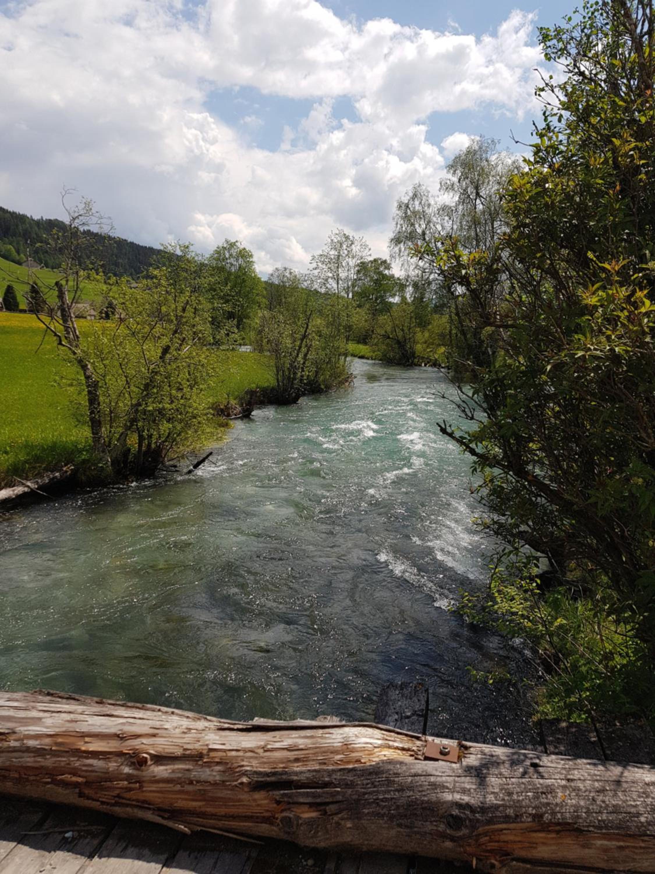 Denggnhof