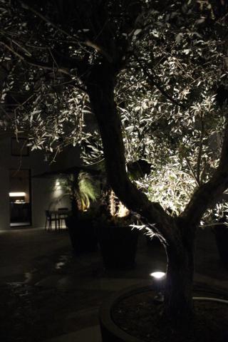 Photo 27
