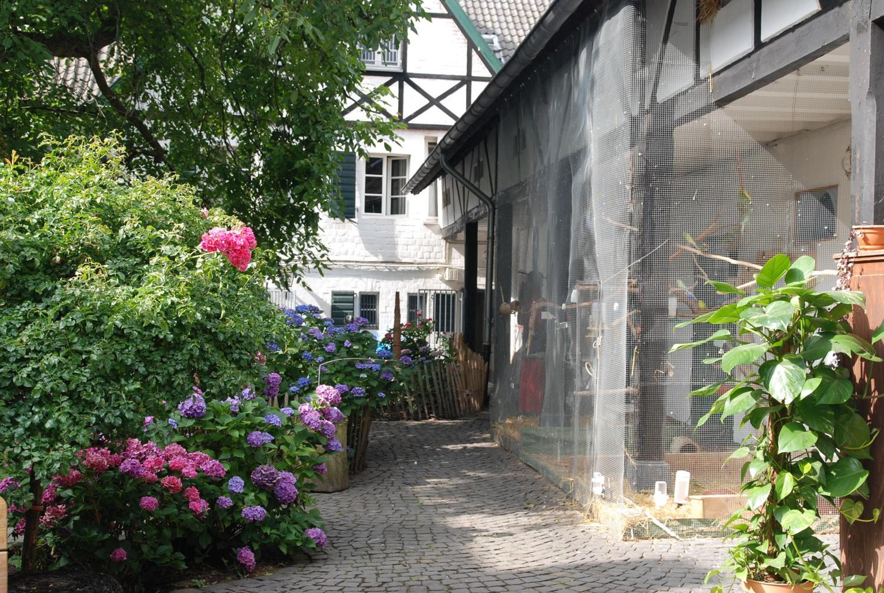 Rhein River Guesthouse - direkt am Rhein